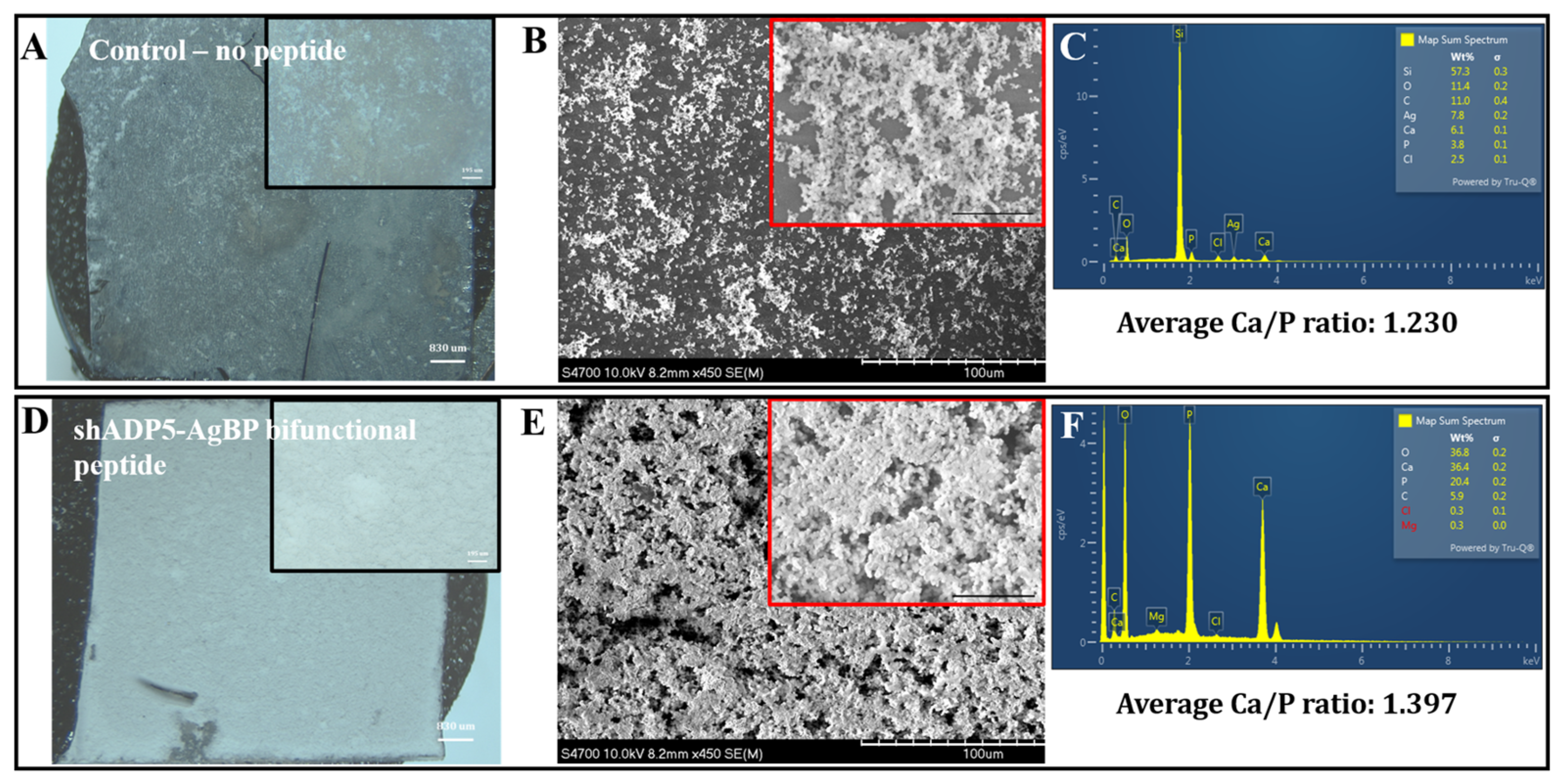 Polymers 14 01368 g004