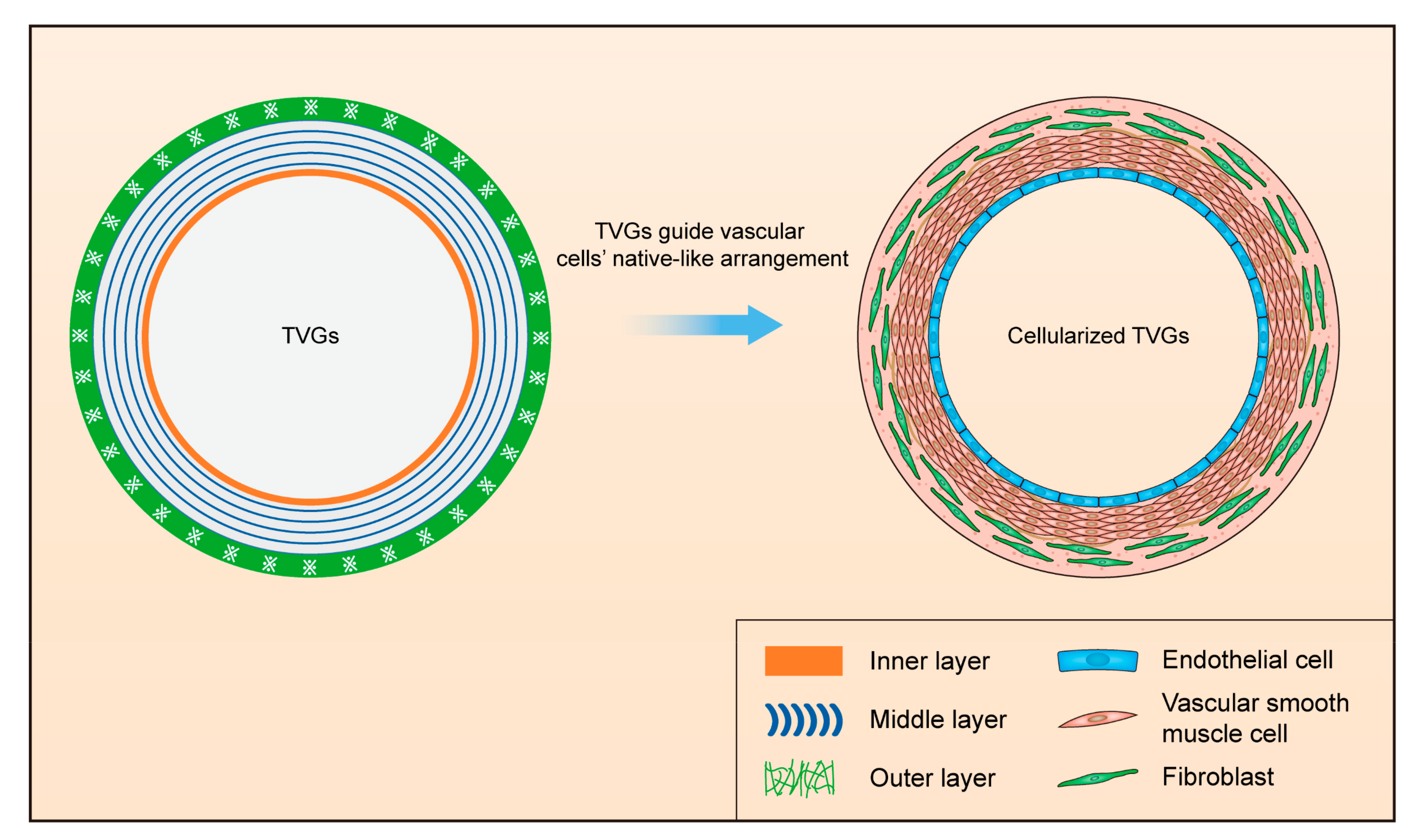 Polymers 14 01370 g005 550