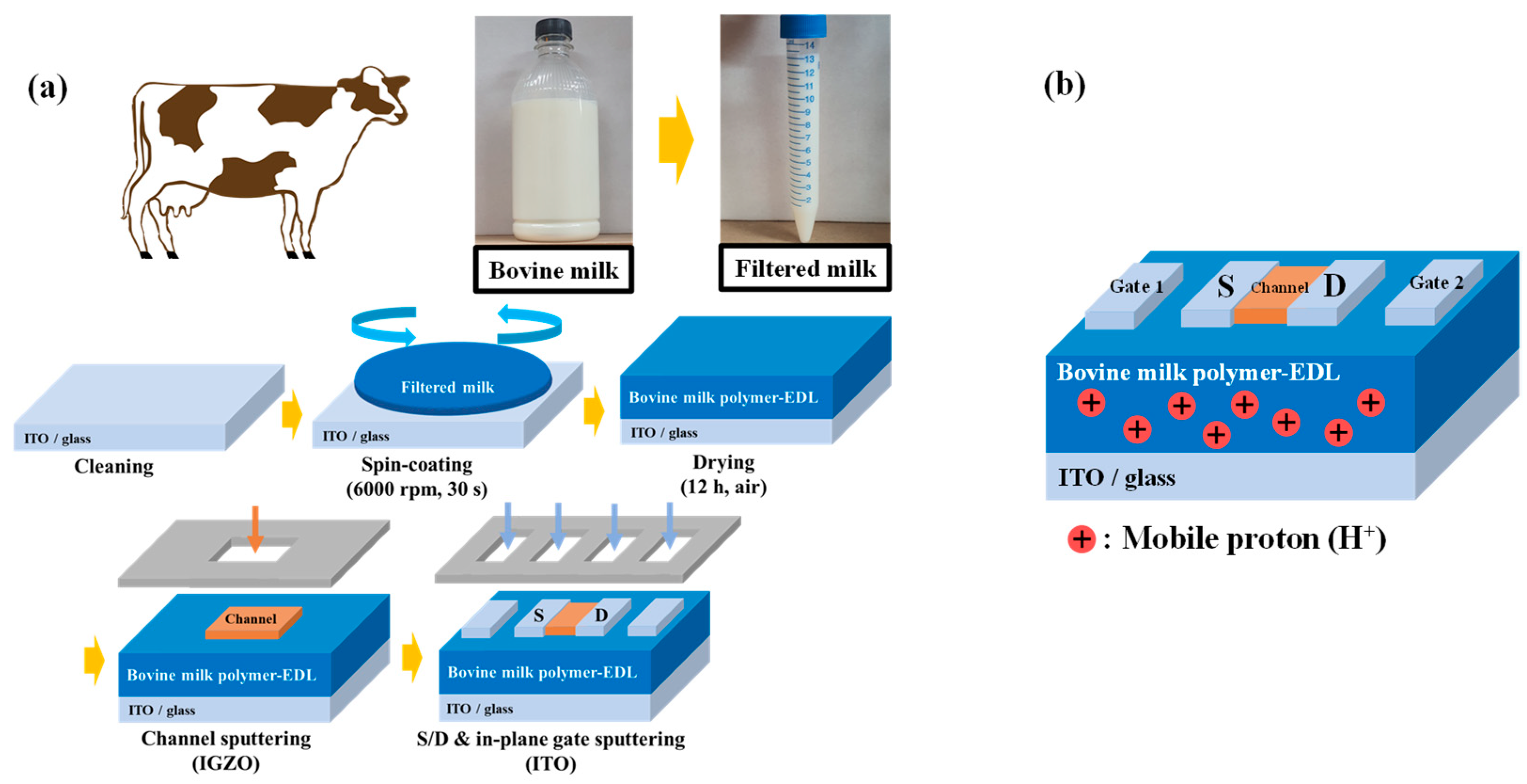 Polymers 14 01372 g001
