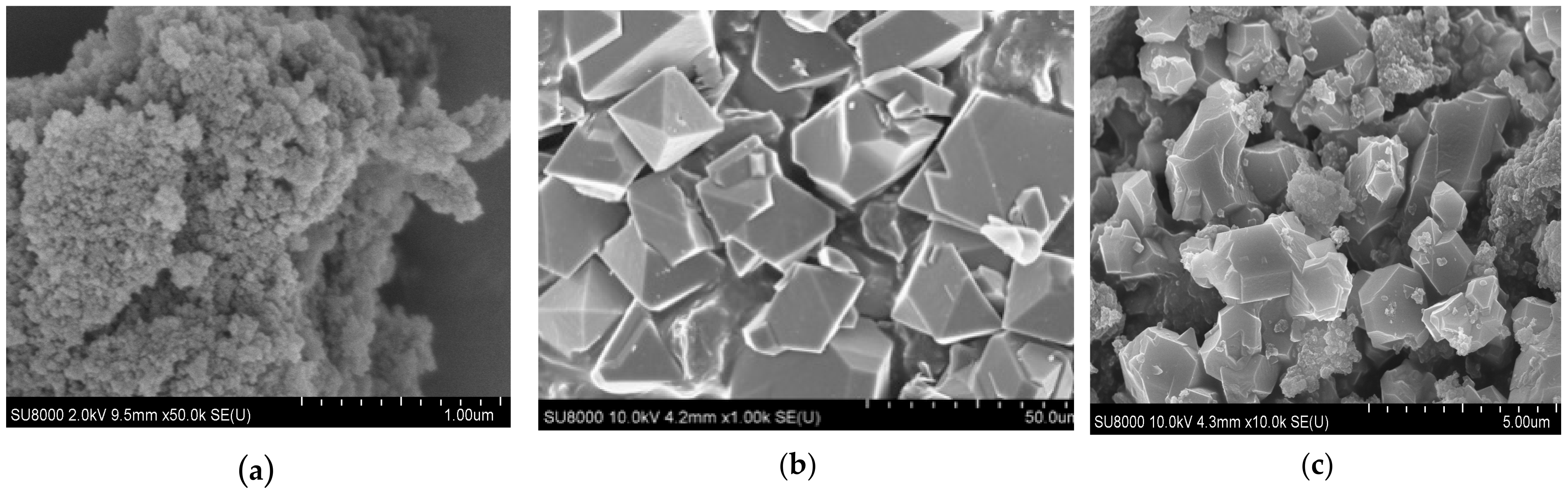 Polymers 14 01373 g001 550