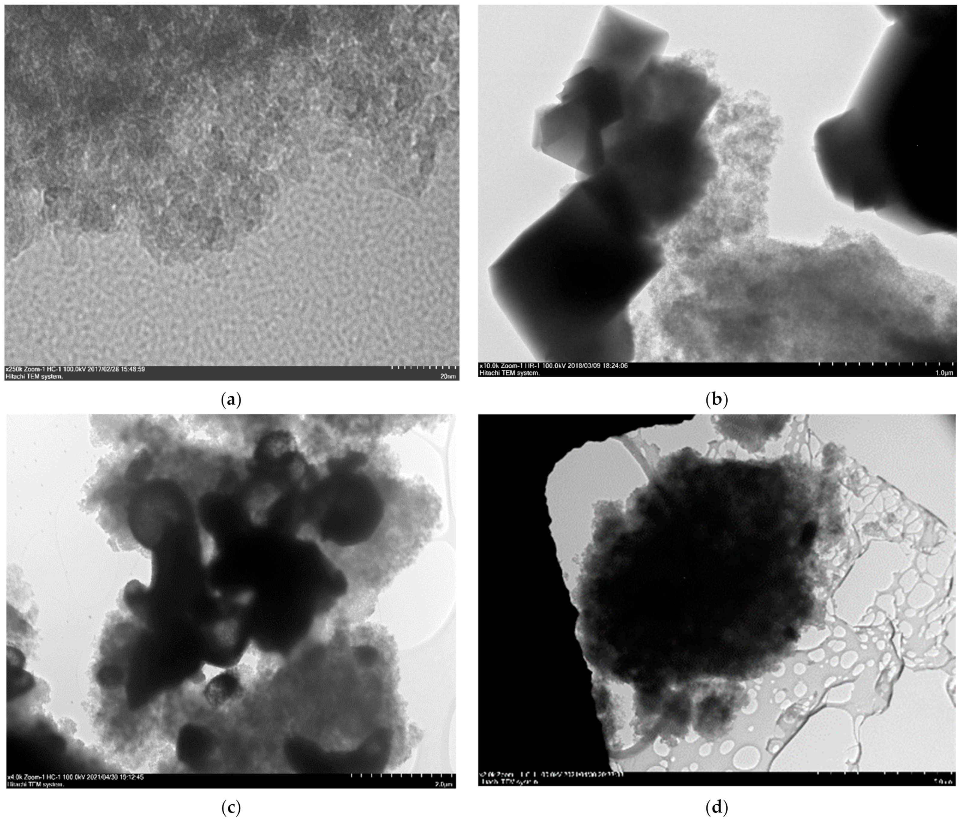 Polymers 14 01373 g002 550