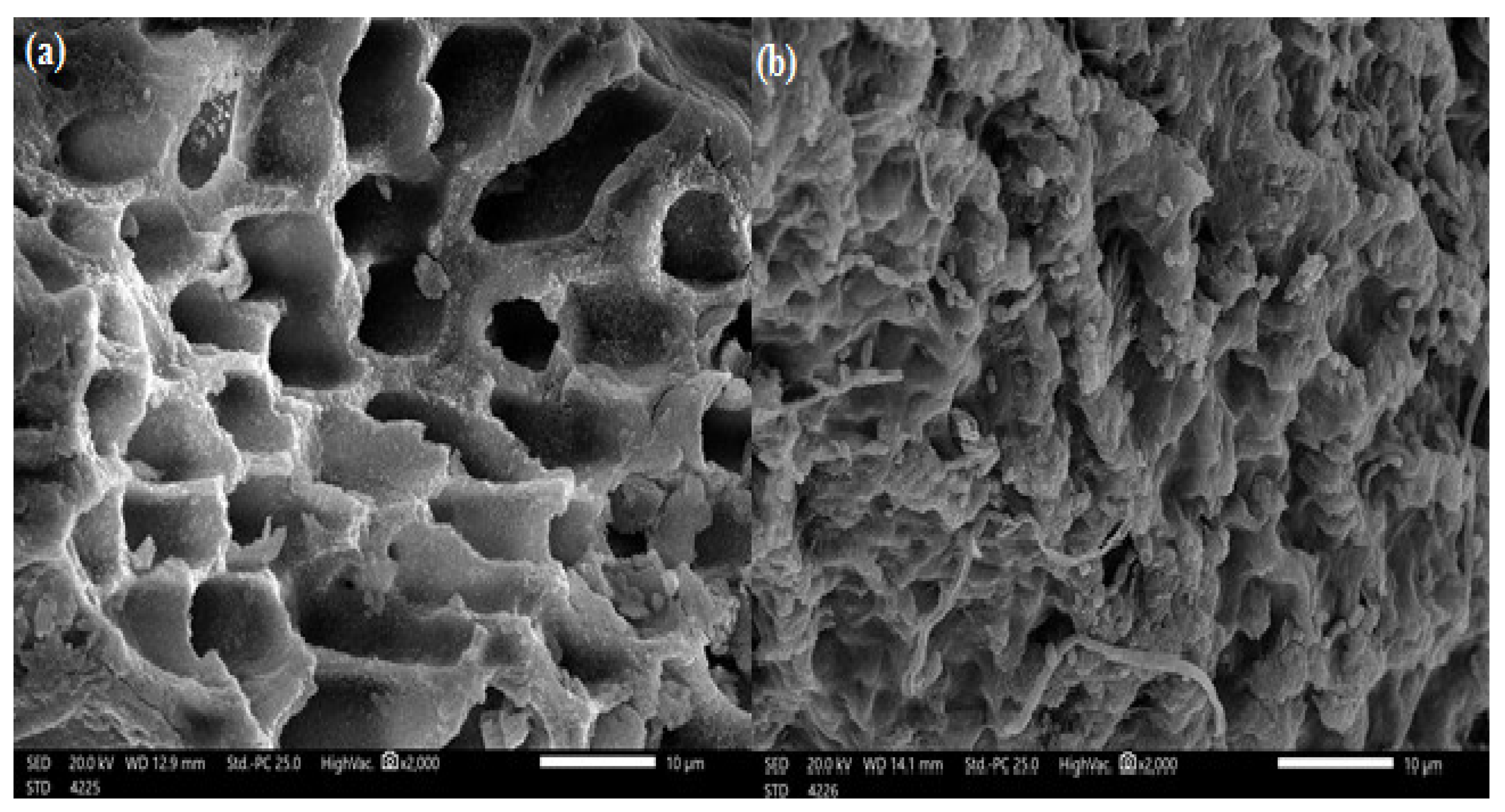 Polymers 14 01375 g003 Polymers 14 01375 g003