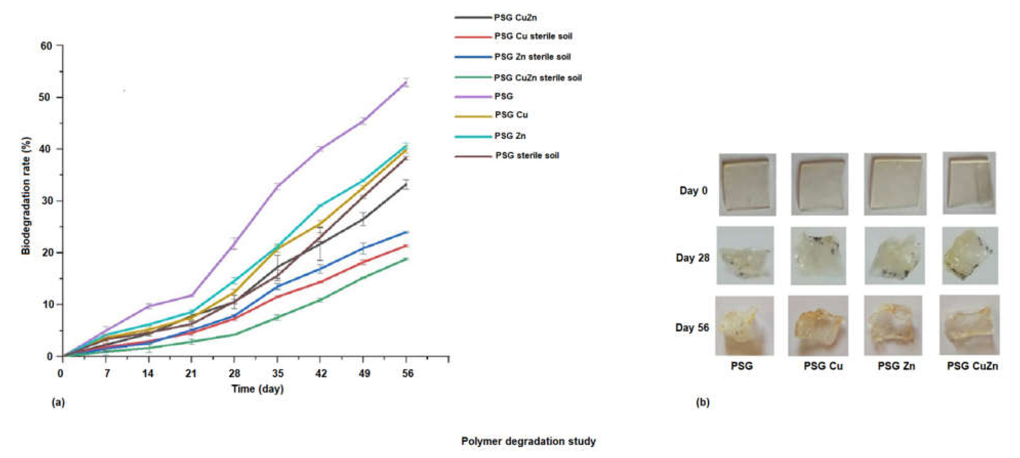 Polymers 14 01379 g007 550