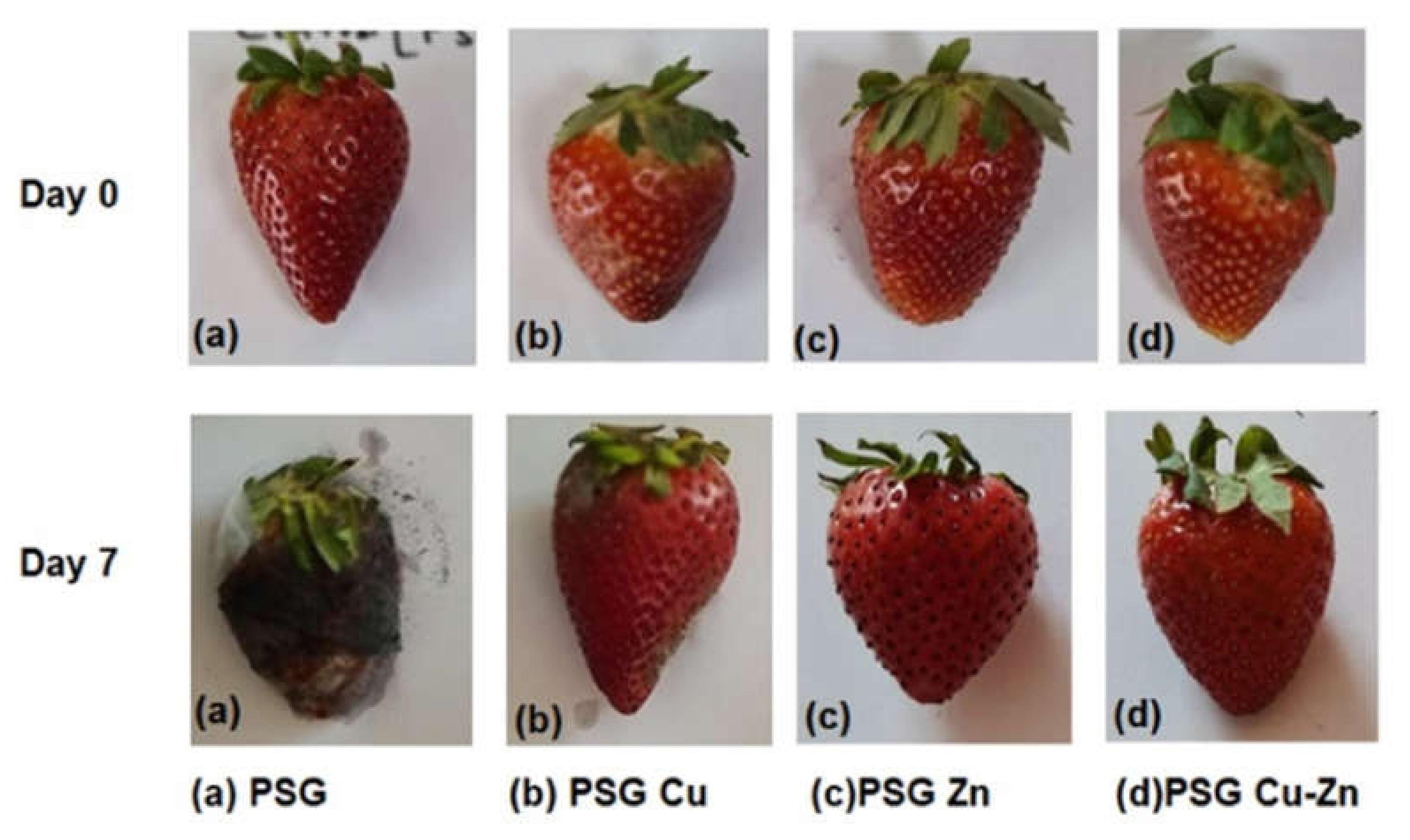 Polymers 14 01379 g010 550
