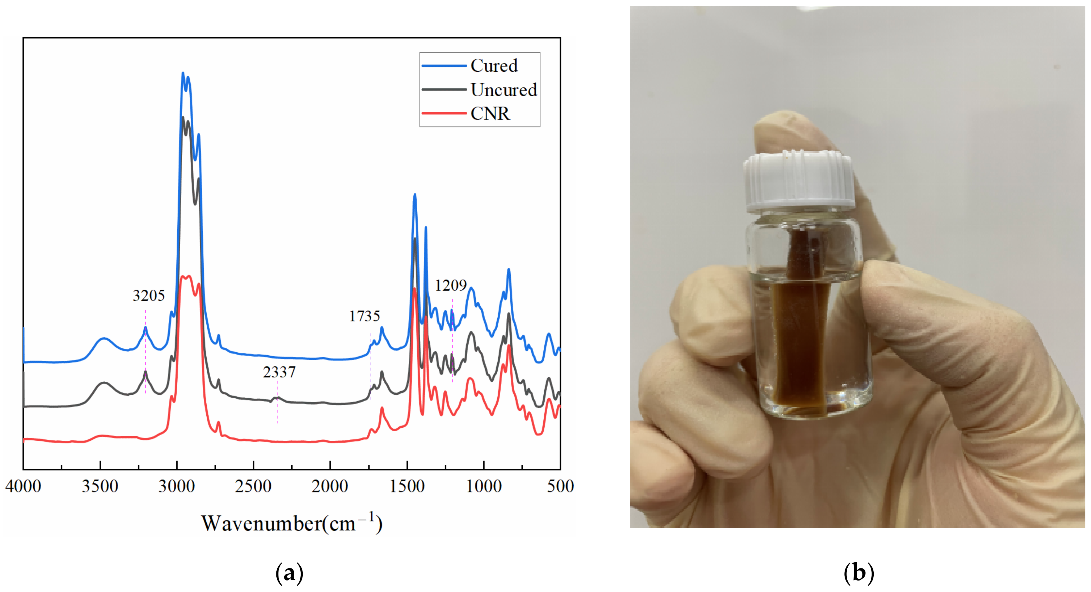 Polymers 14 01380 g005 550