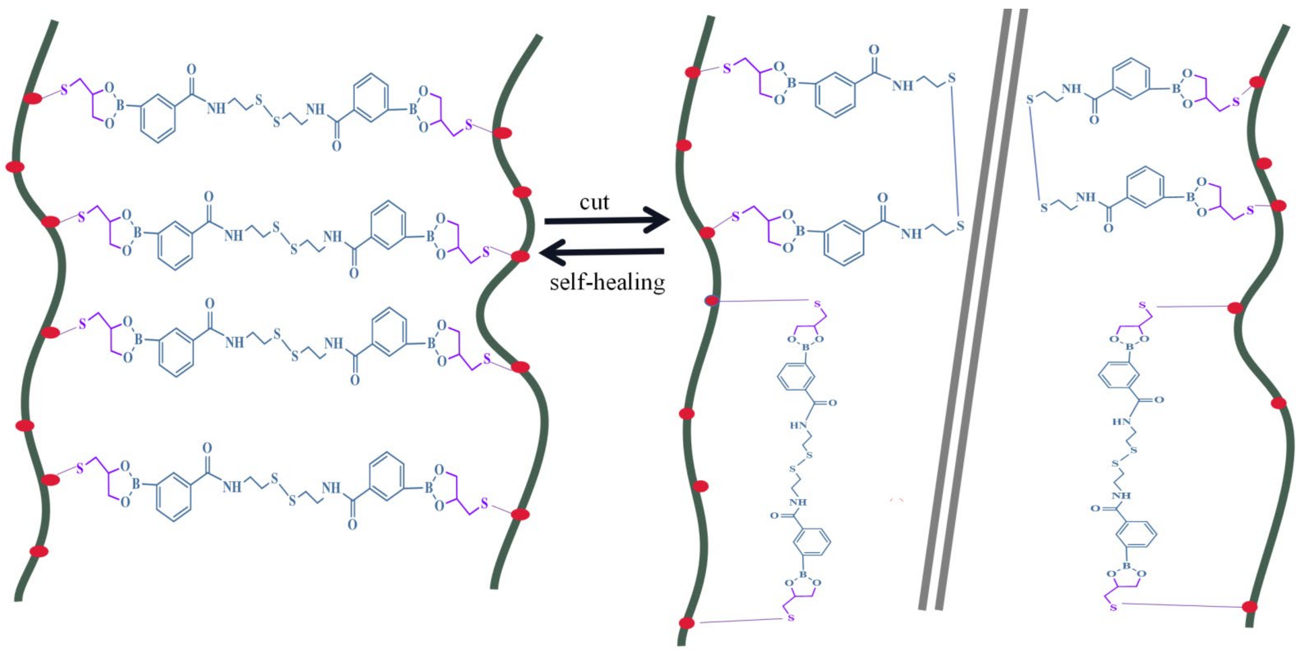 Polymers 14 01380 g009 550