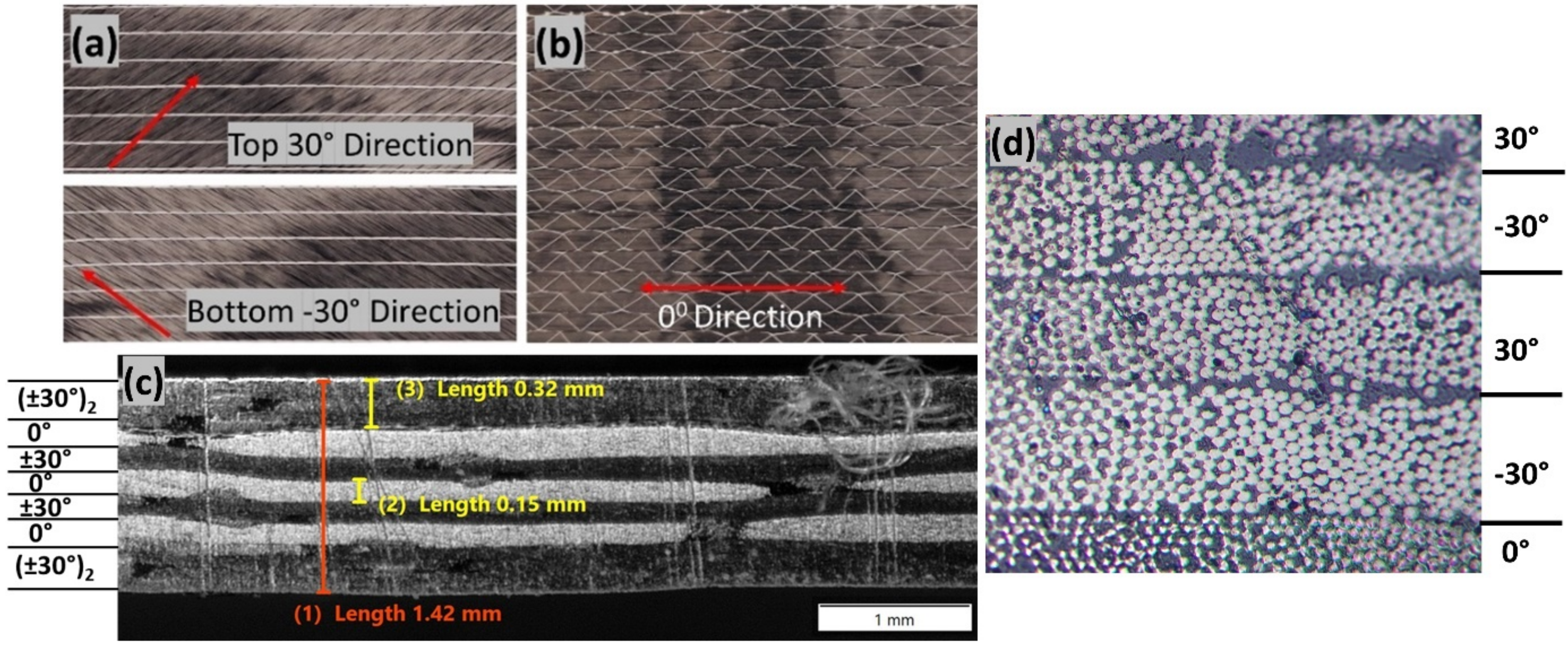 Polymers 14 01386 g001