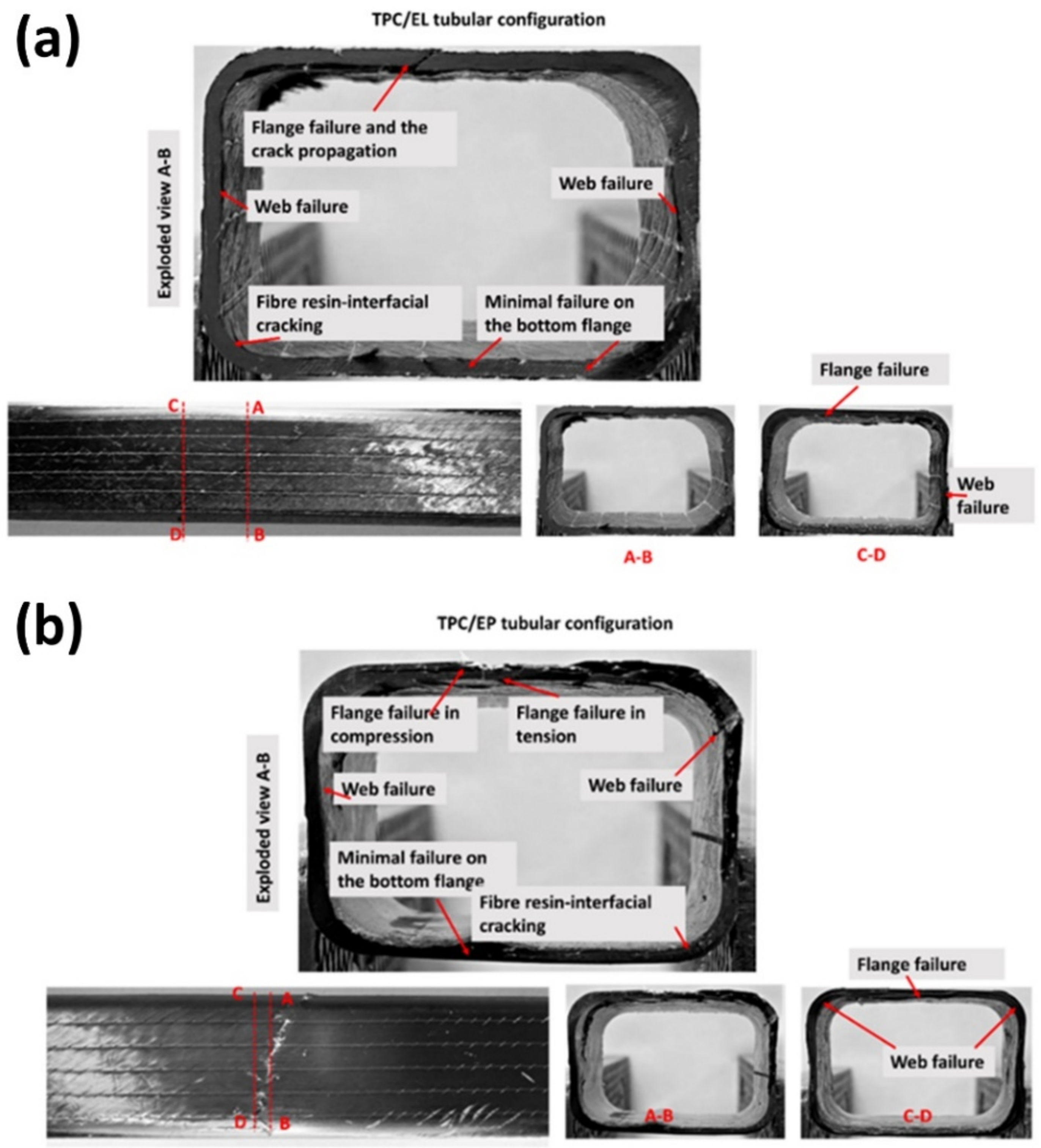 Polymers 14 01386 g008