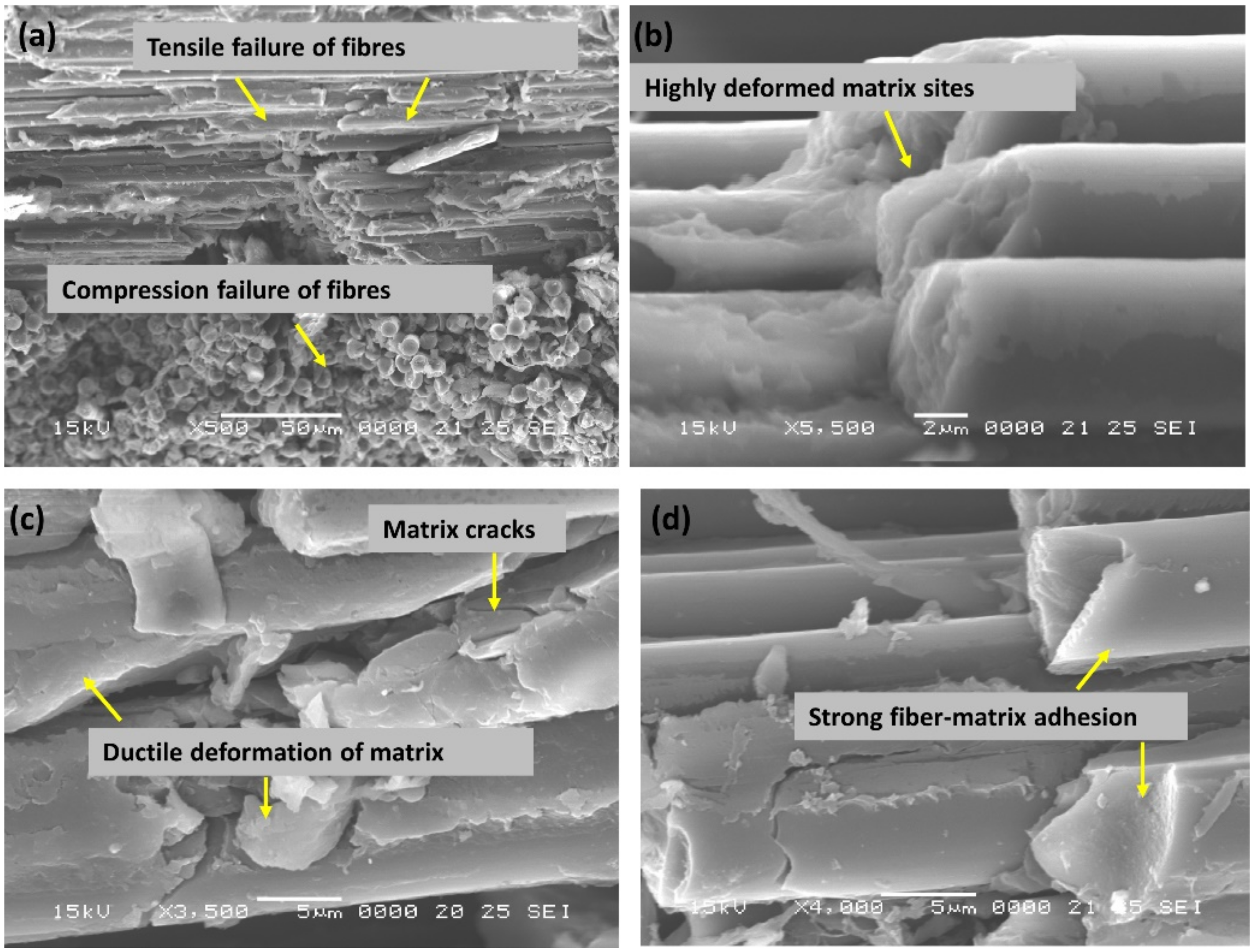 Polymers 14 01386 g011