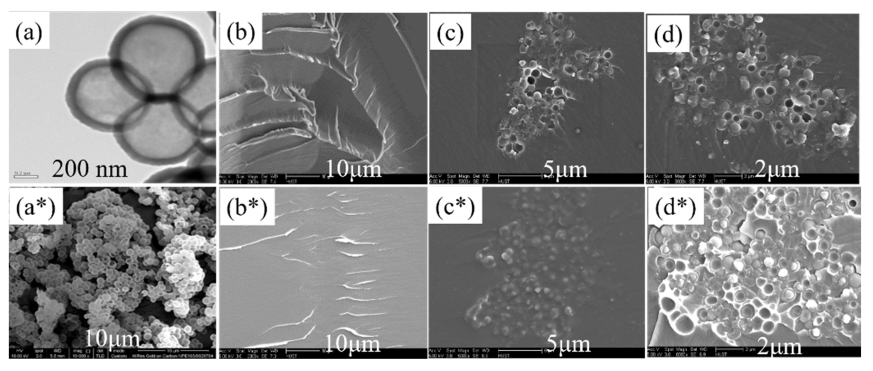 Polymers 14 01388 g003