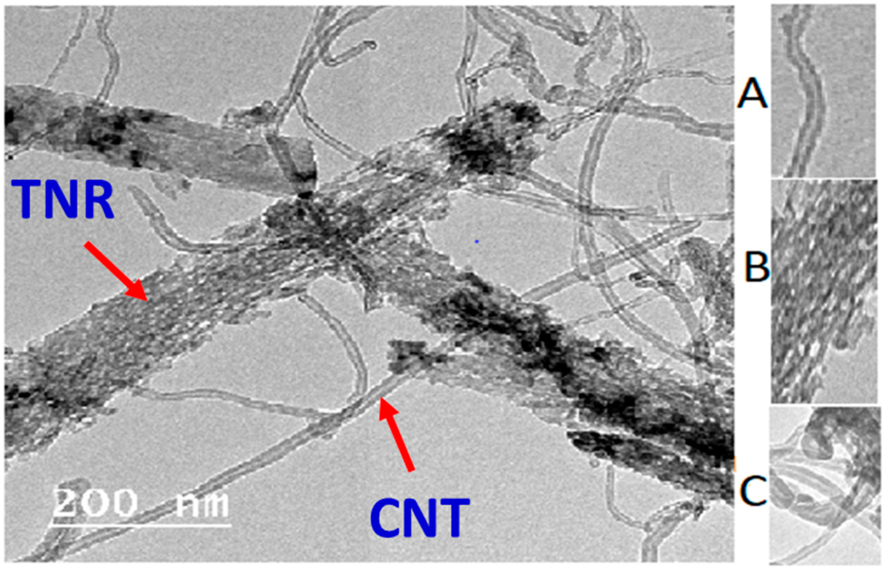 Polymers 14 01390 g001 Polymers 14 01390 g001