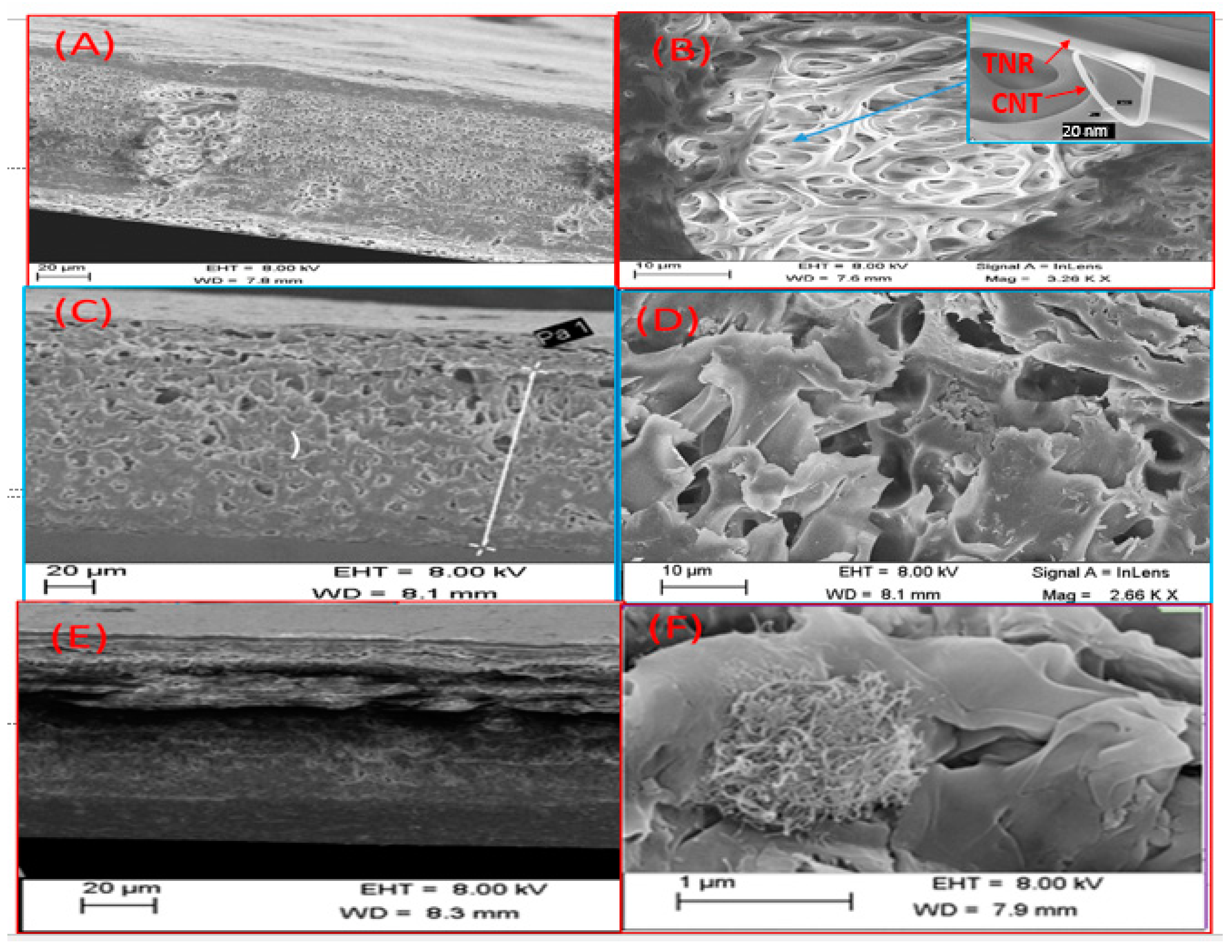Polymers 14 01390 g003 Polymers 14 01390 g003