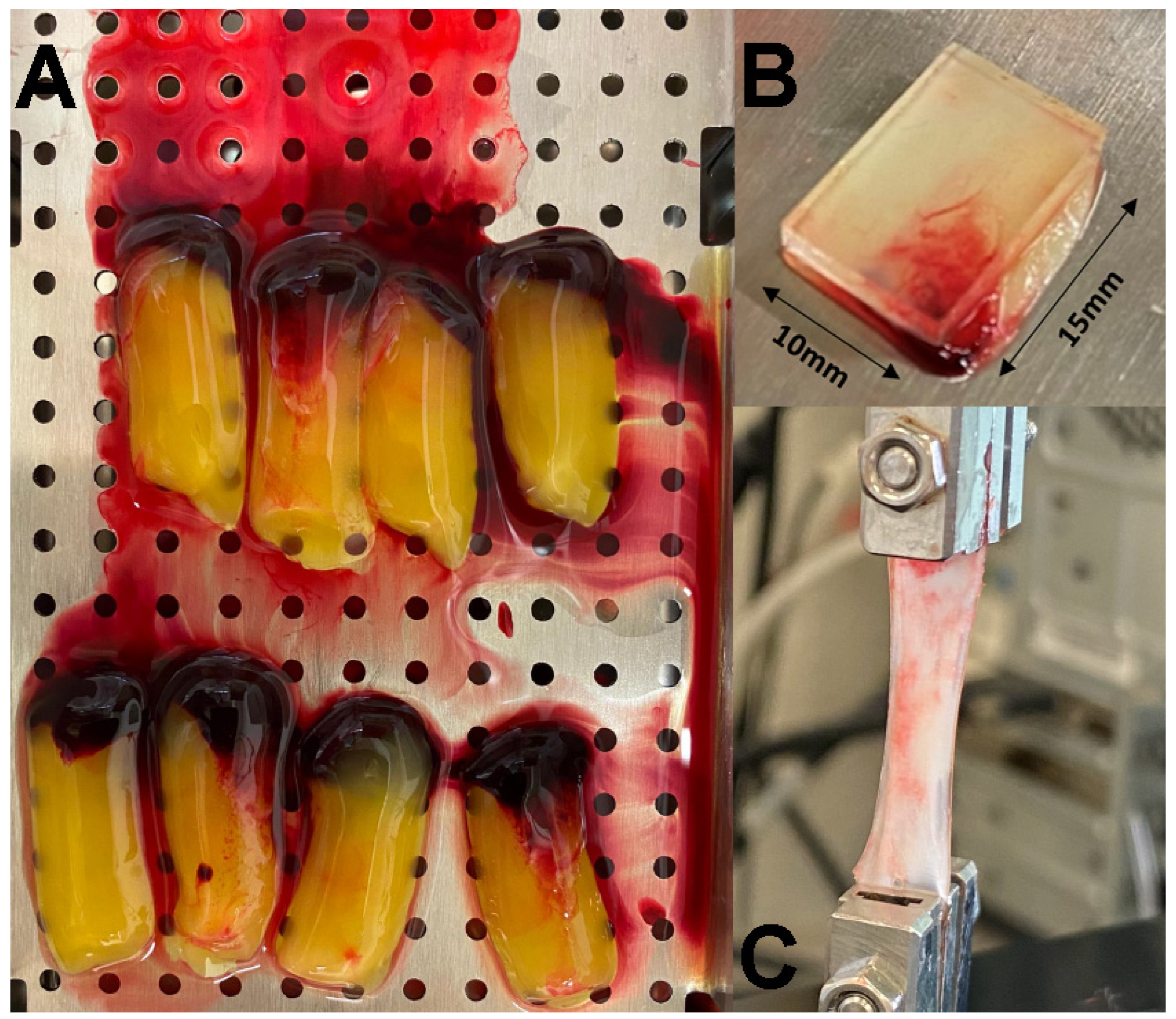 Polymers 14 01392 g001 550