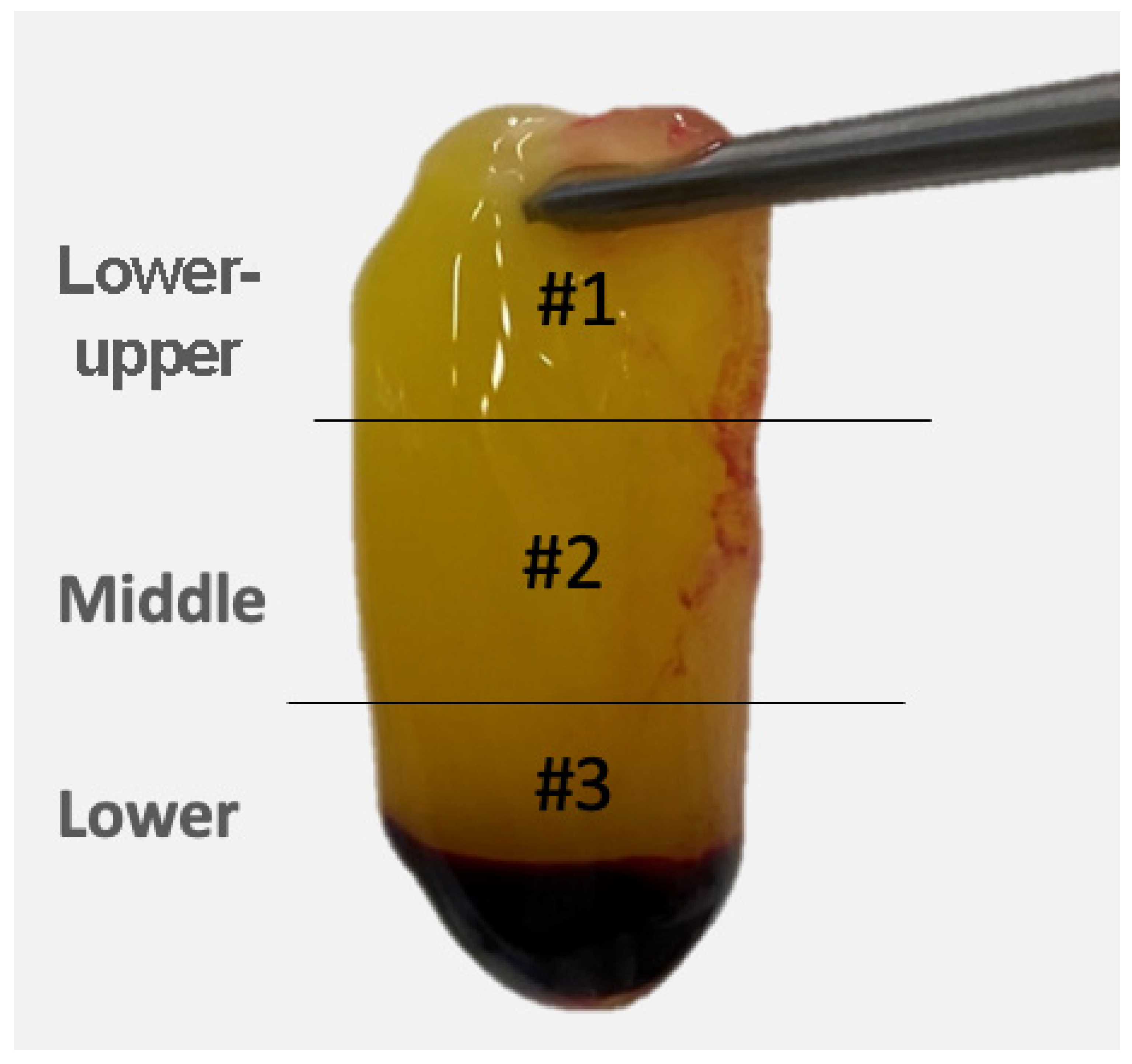 Polymers 14 01392 g002 550