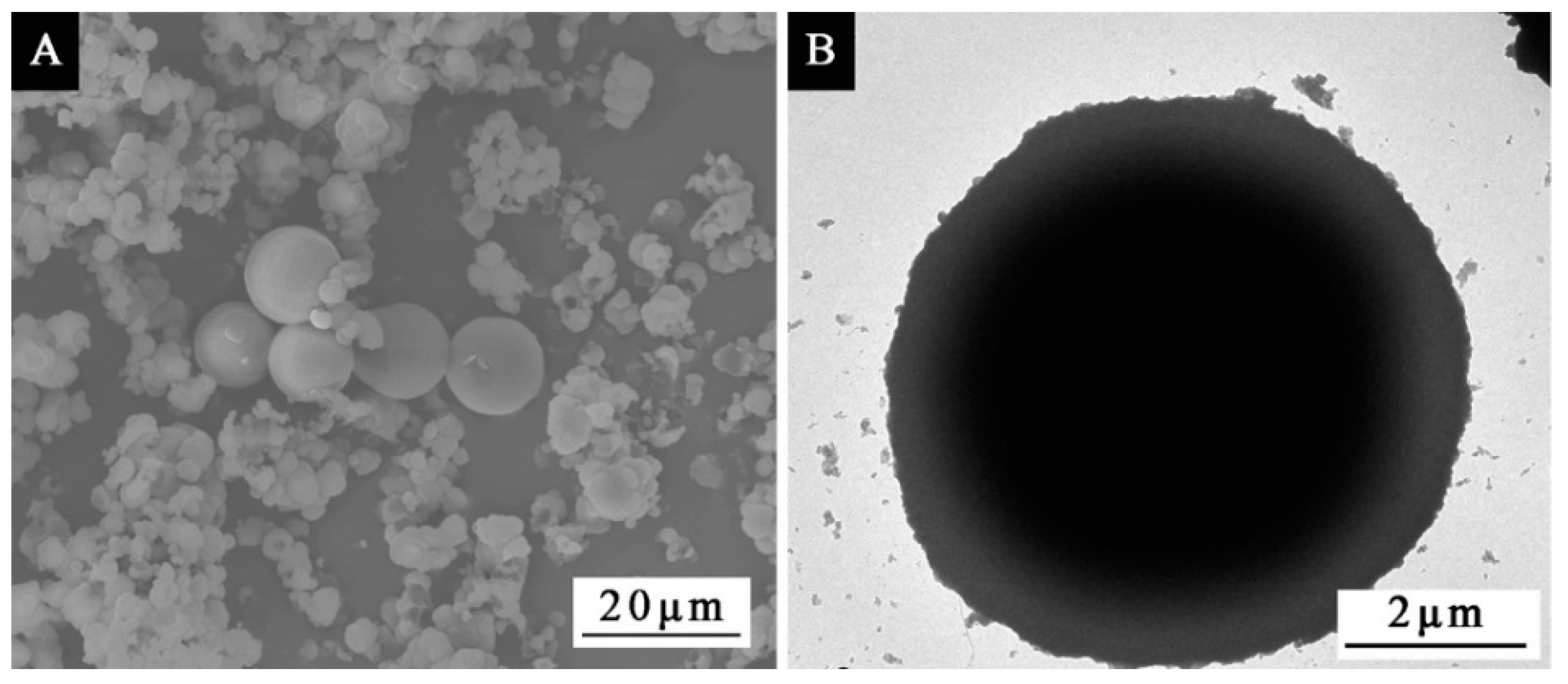 Polymers 14 01393 g004 550