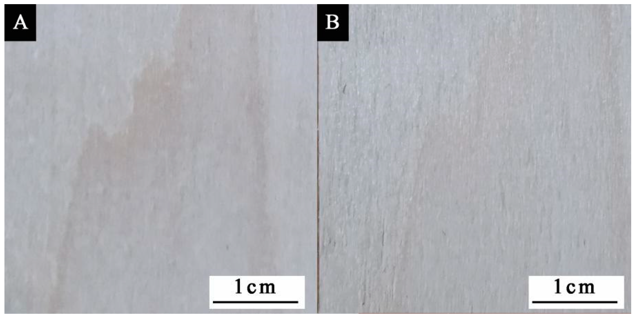 Polymers 14 01393 g011 550