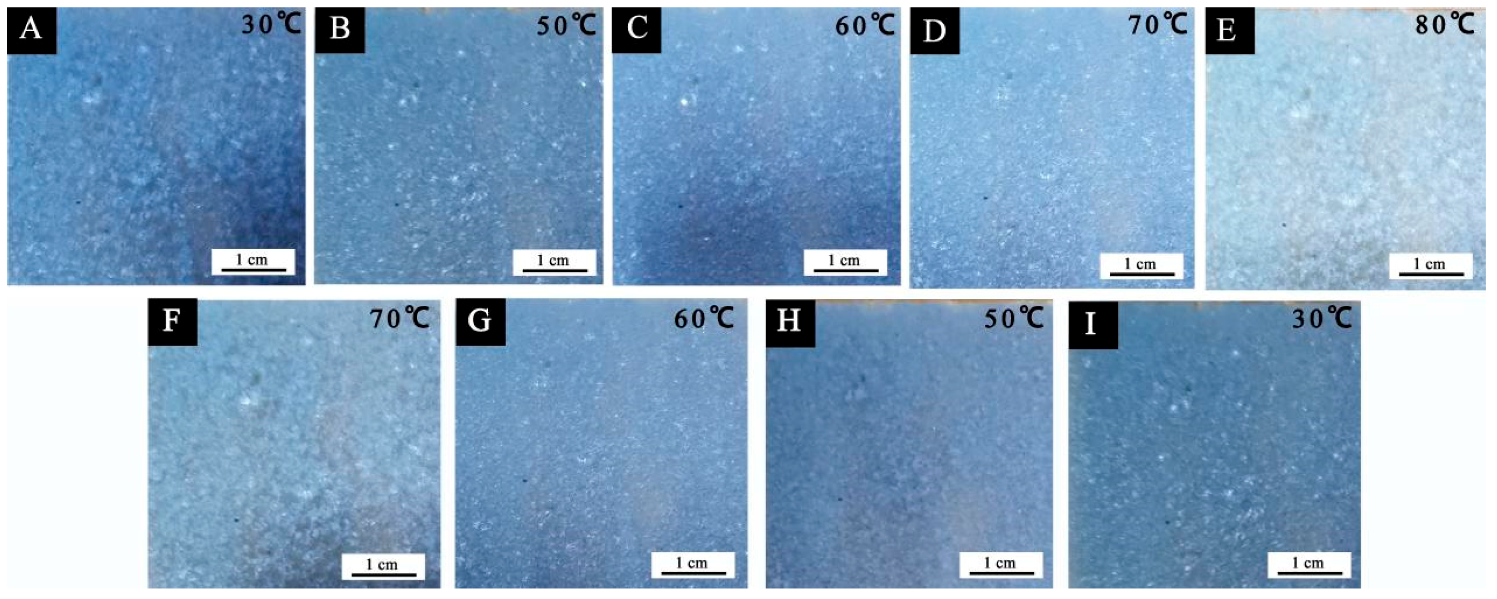 Polymers 14 01393 g012 550