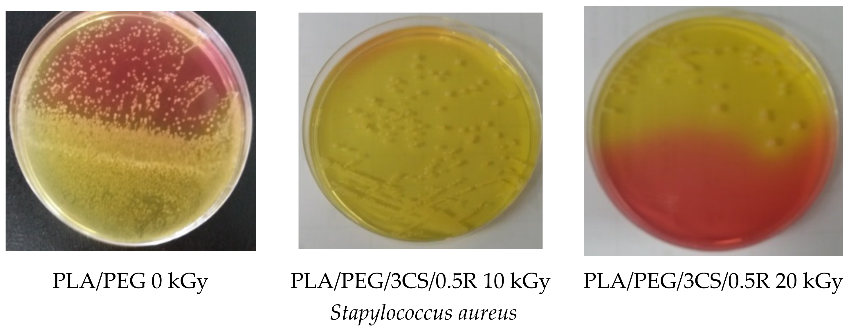 Polymers 14 01398 g014b 550