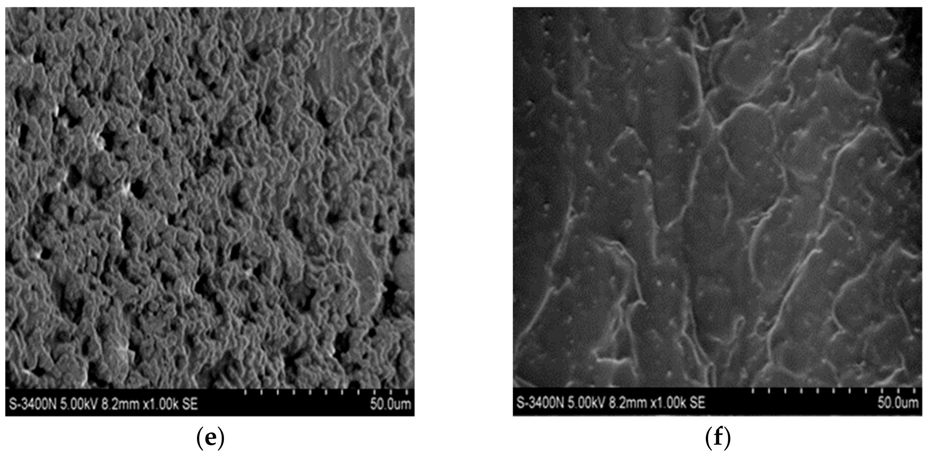 Polymers 14 01404 g007b Polymers 14 01404 g007b