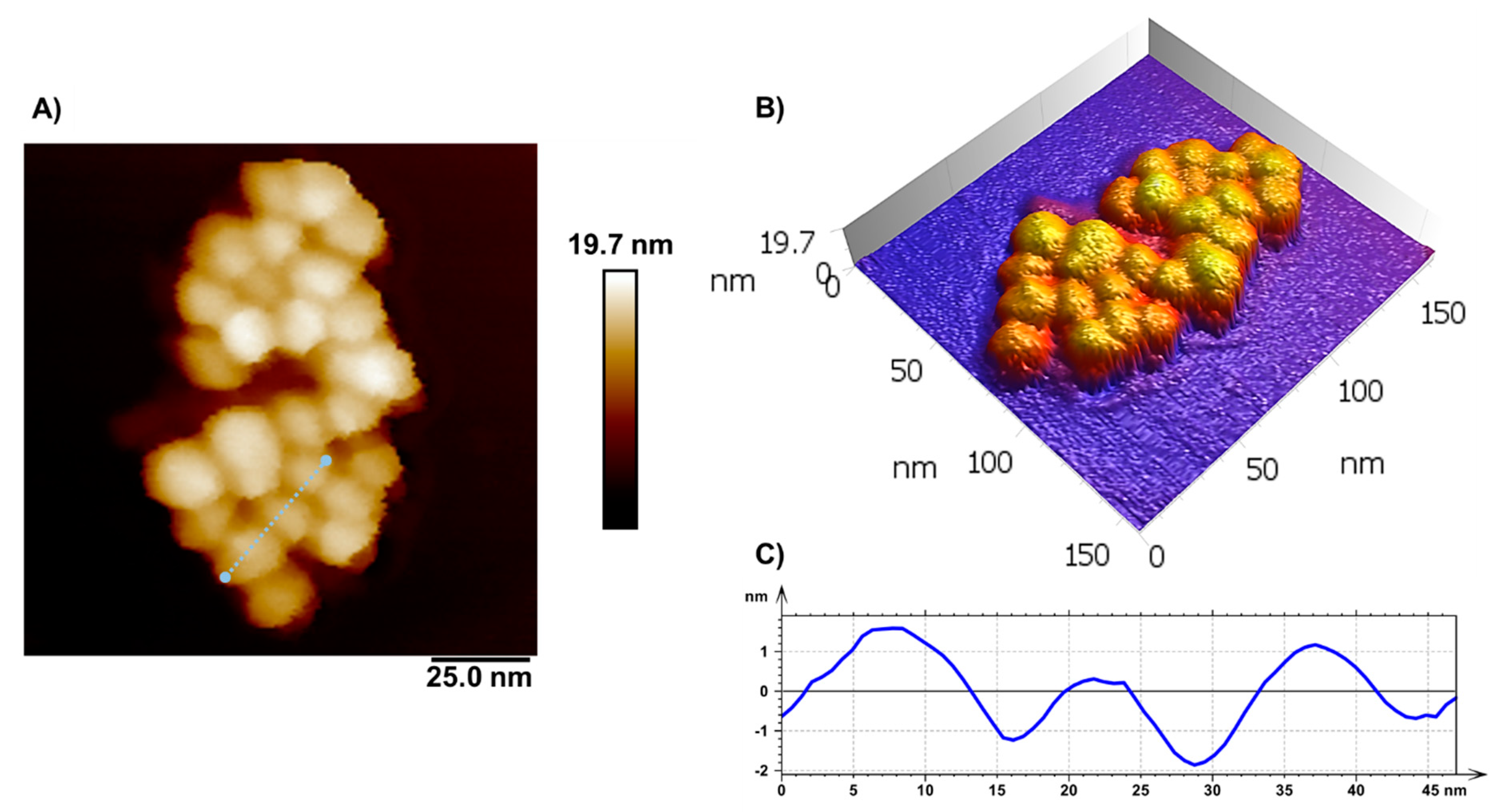 Polymers 14 01405 g003