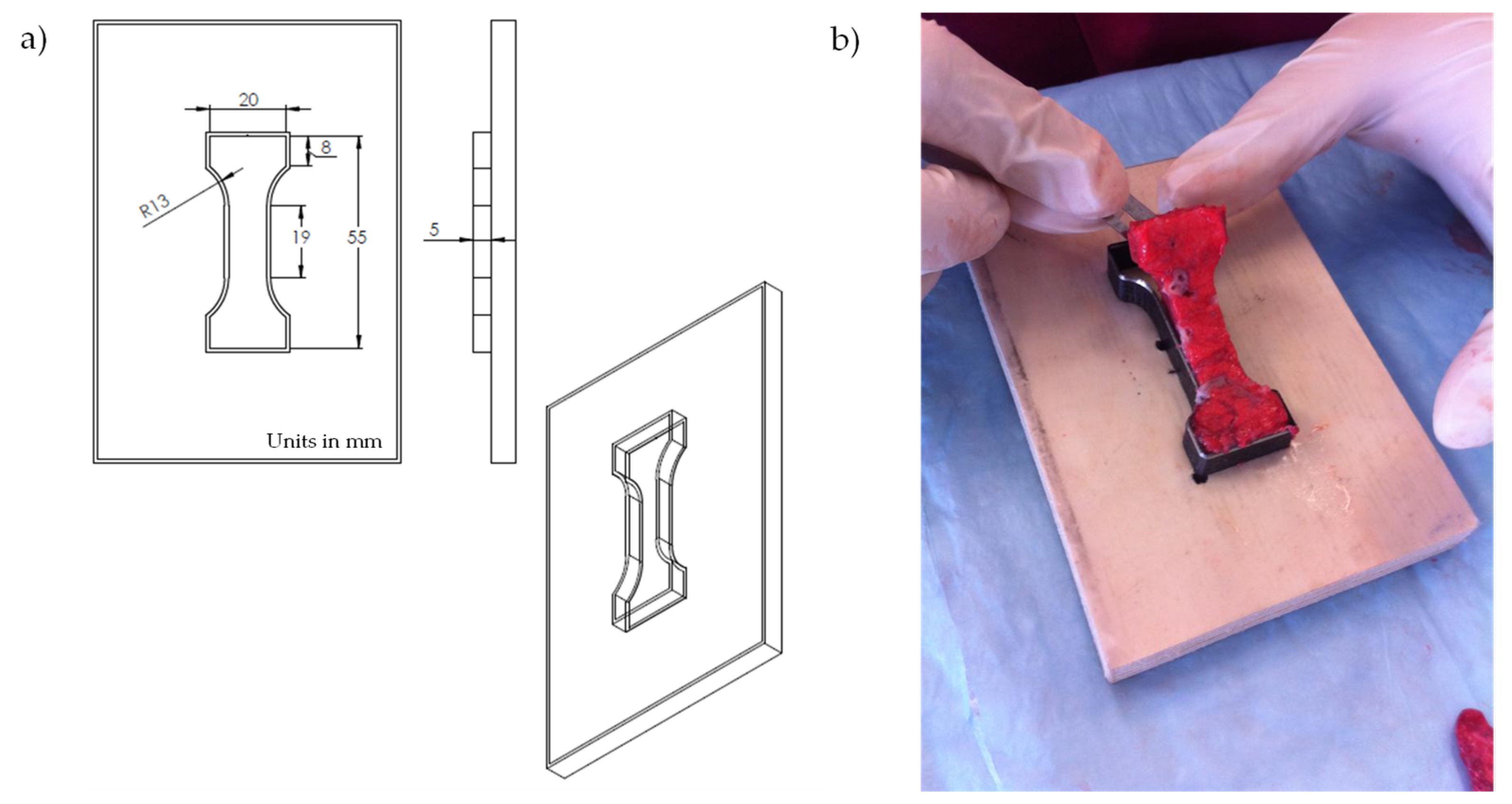 Polymers 14 01407 g005 550