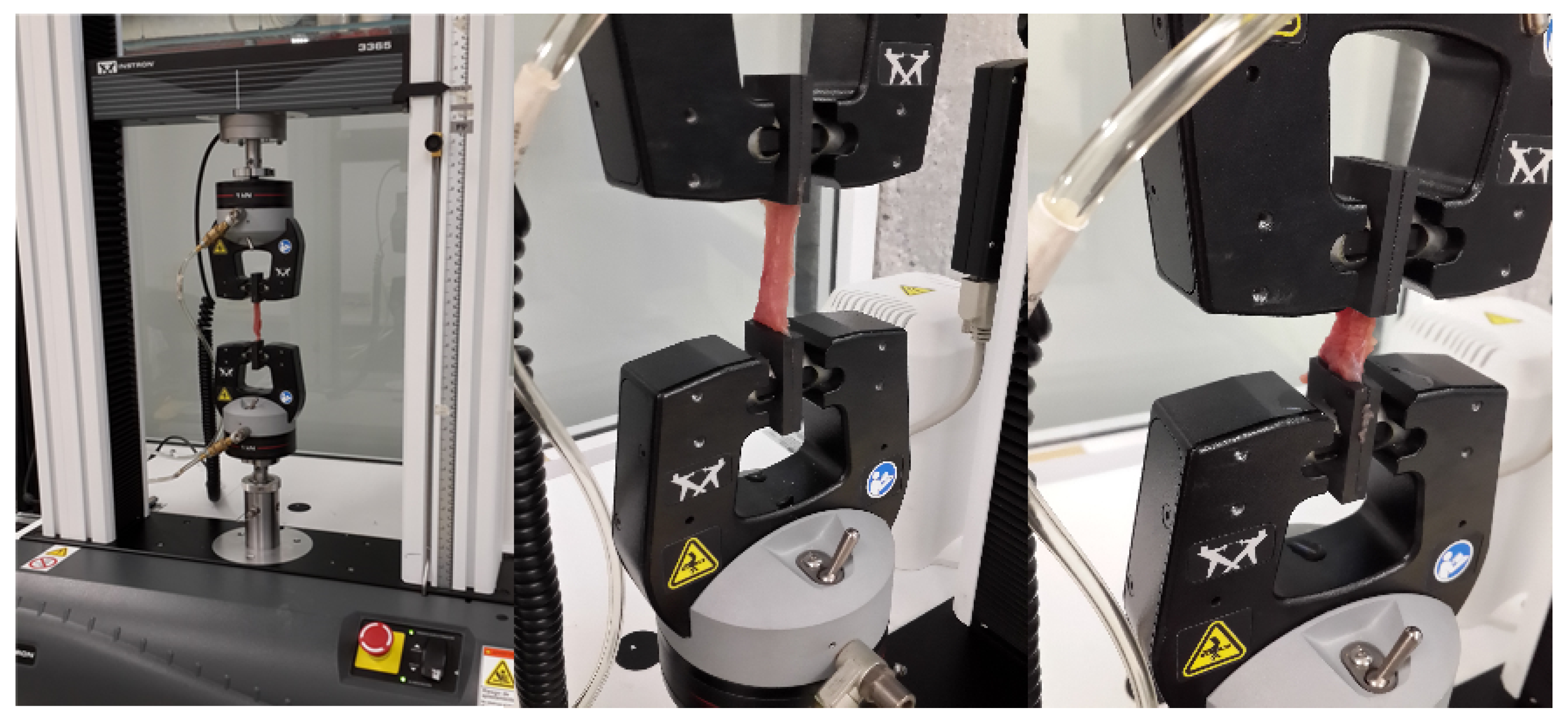 Polymers 14 01407 g006 550