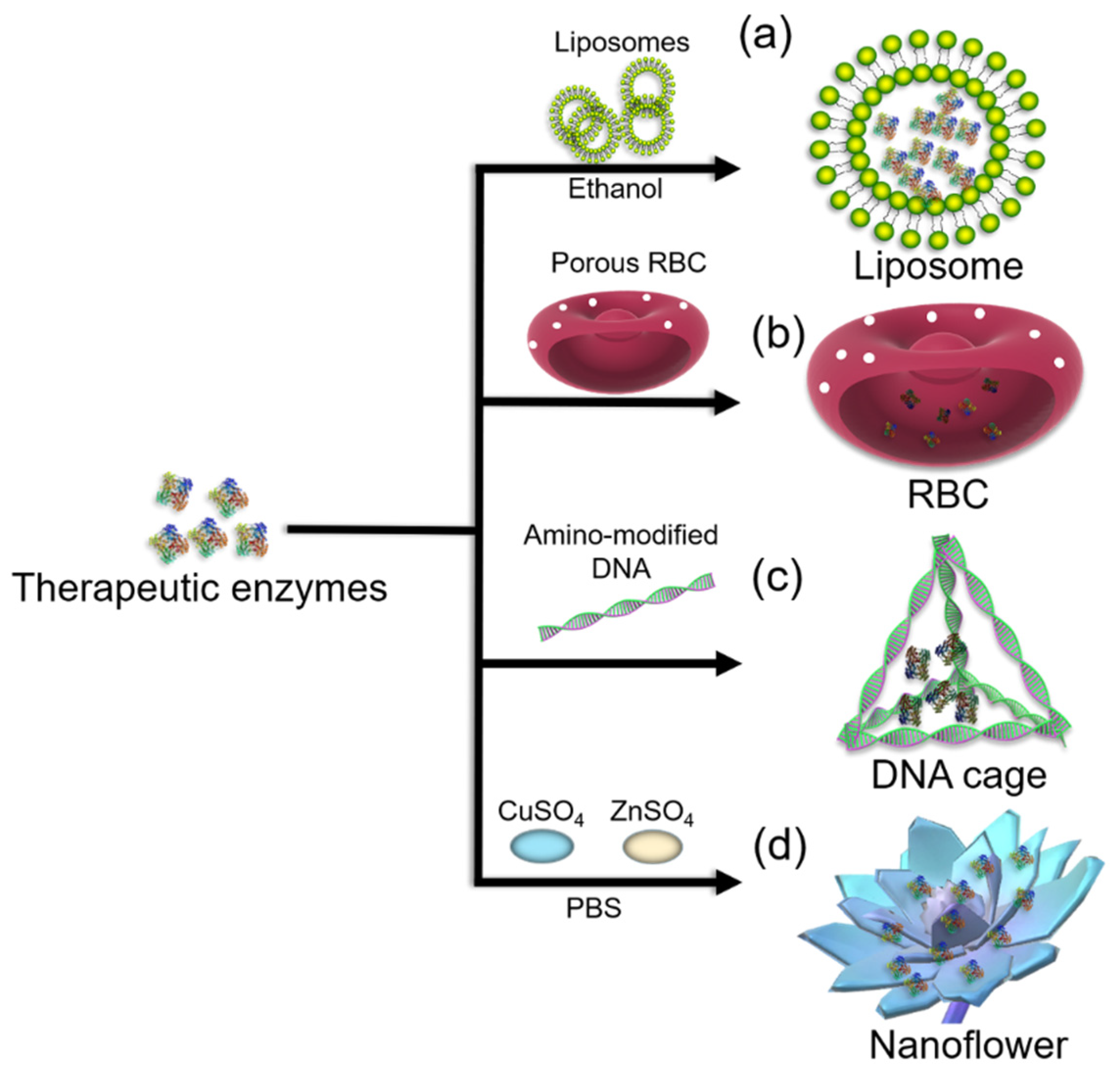 Polymers 14 01409 g002 Polymers 14 01409 g002