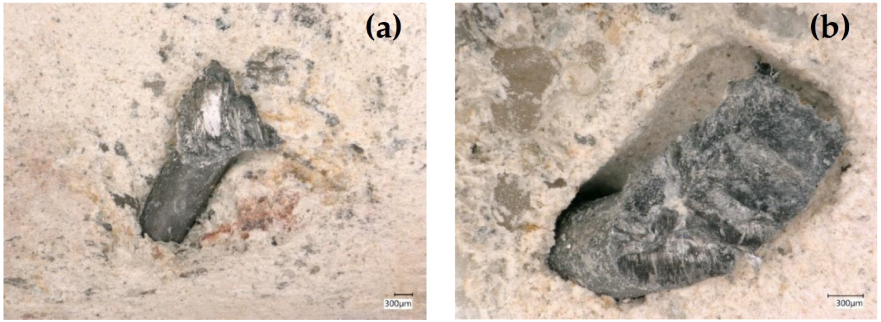 Polymers 14 01411 g002 550