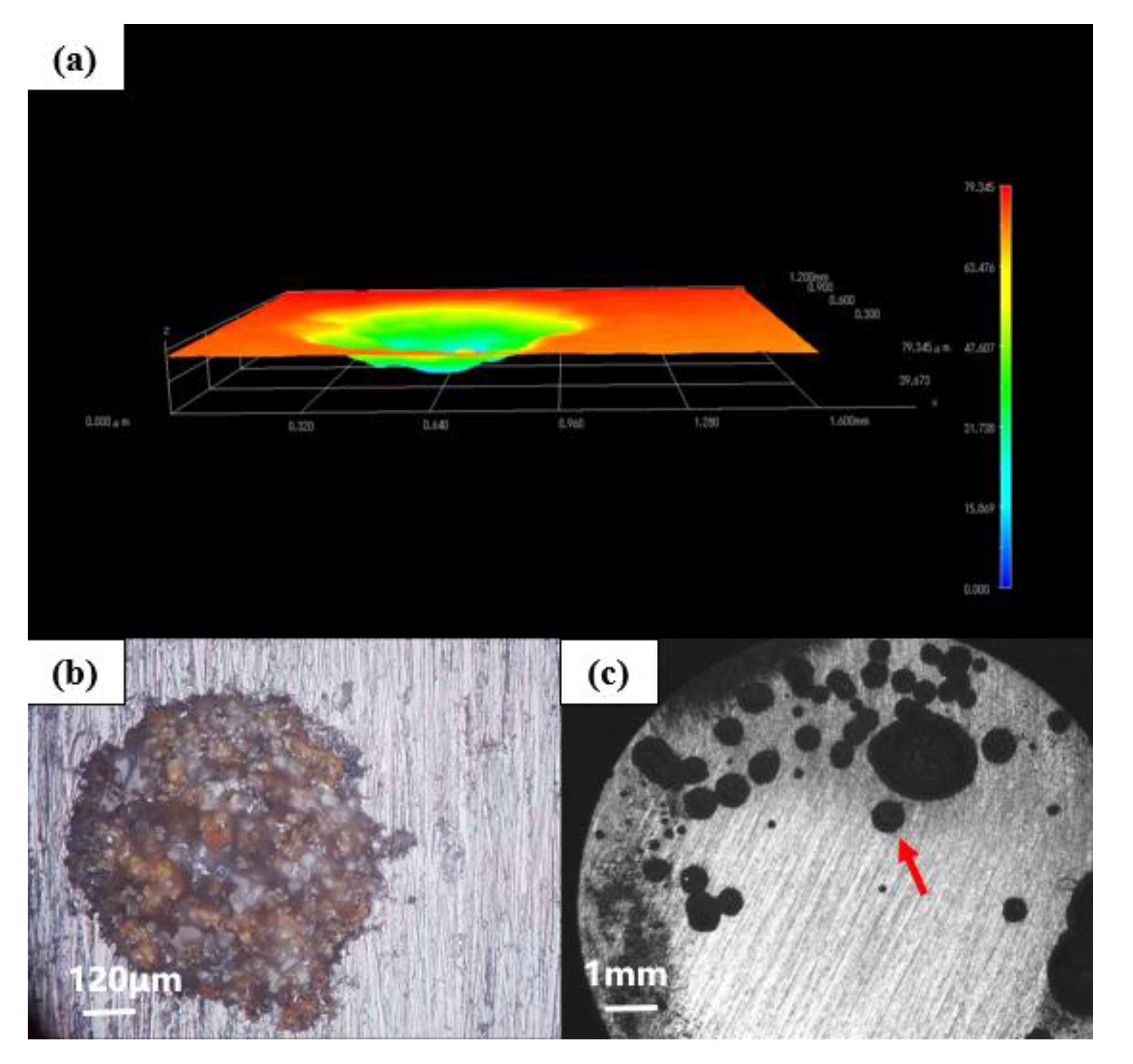 Polymers 14 01412 g011 550