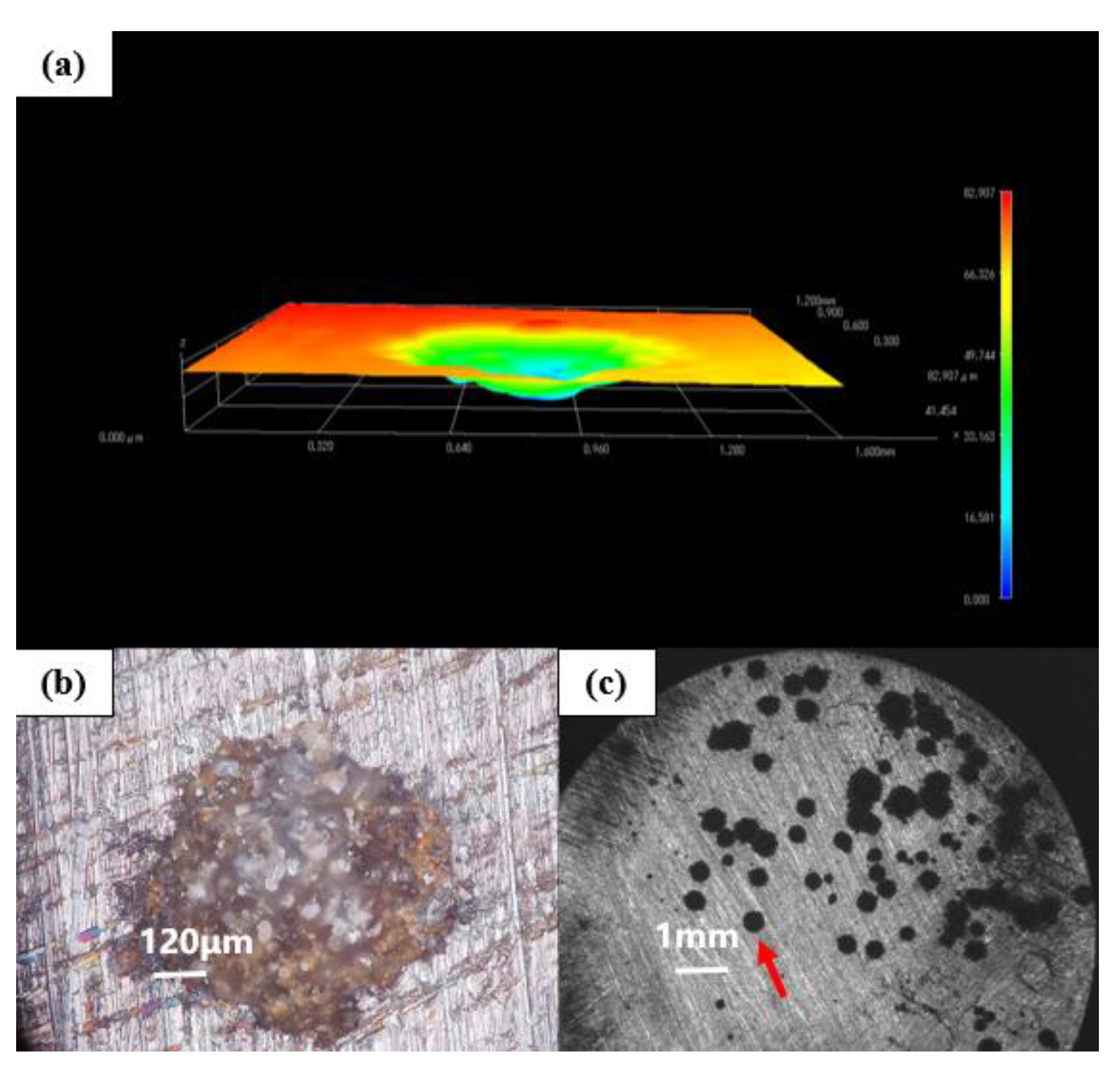 Polymers 14 01412 g012 550