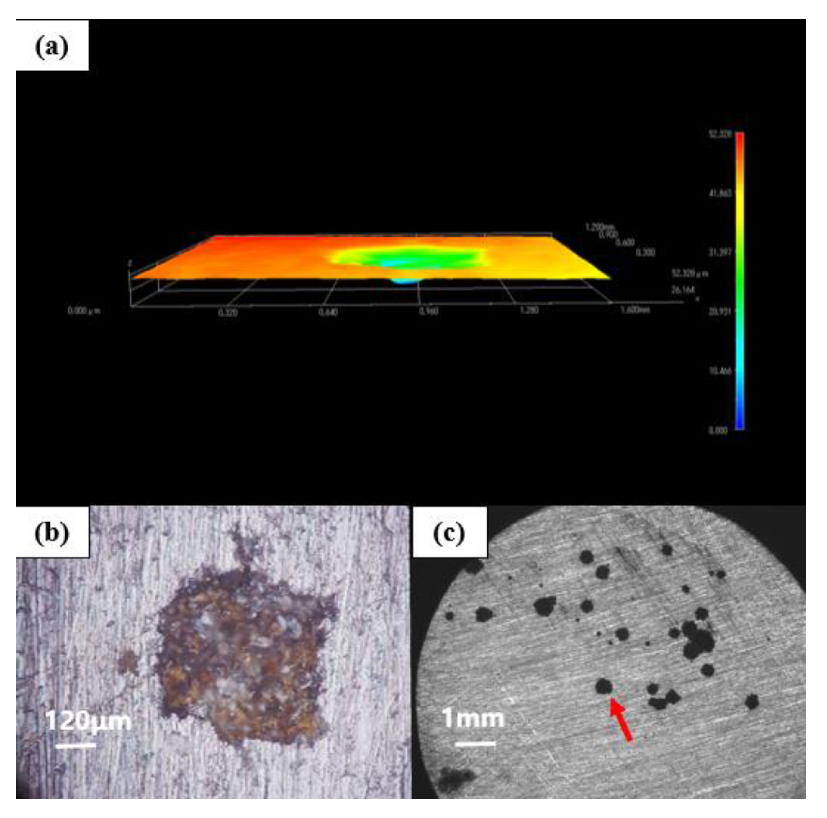 Polymers 14 01412 g013 550