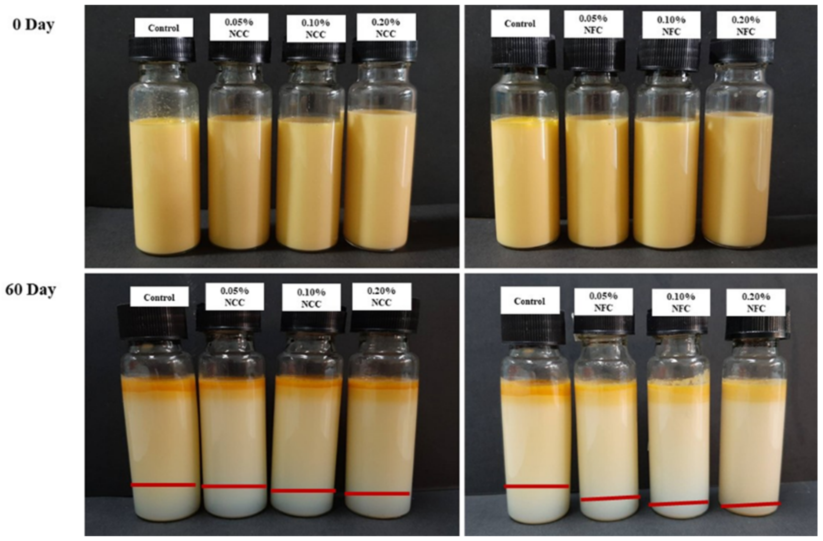 Polymers 14 01414 g002