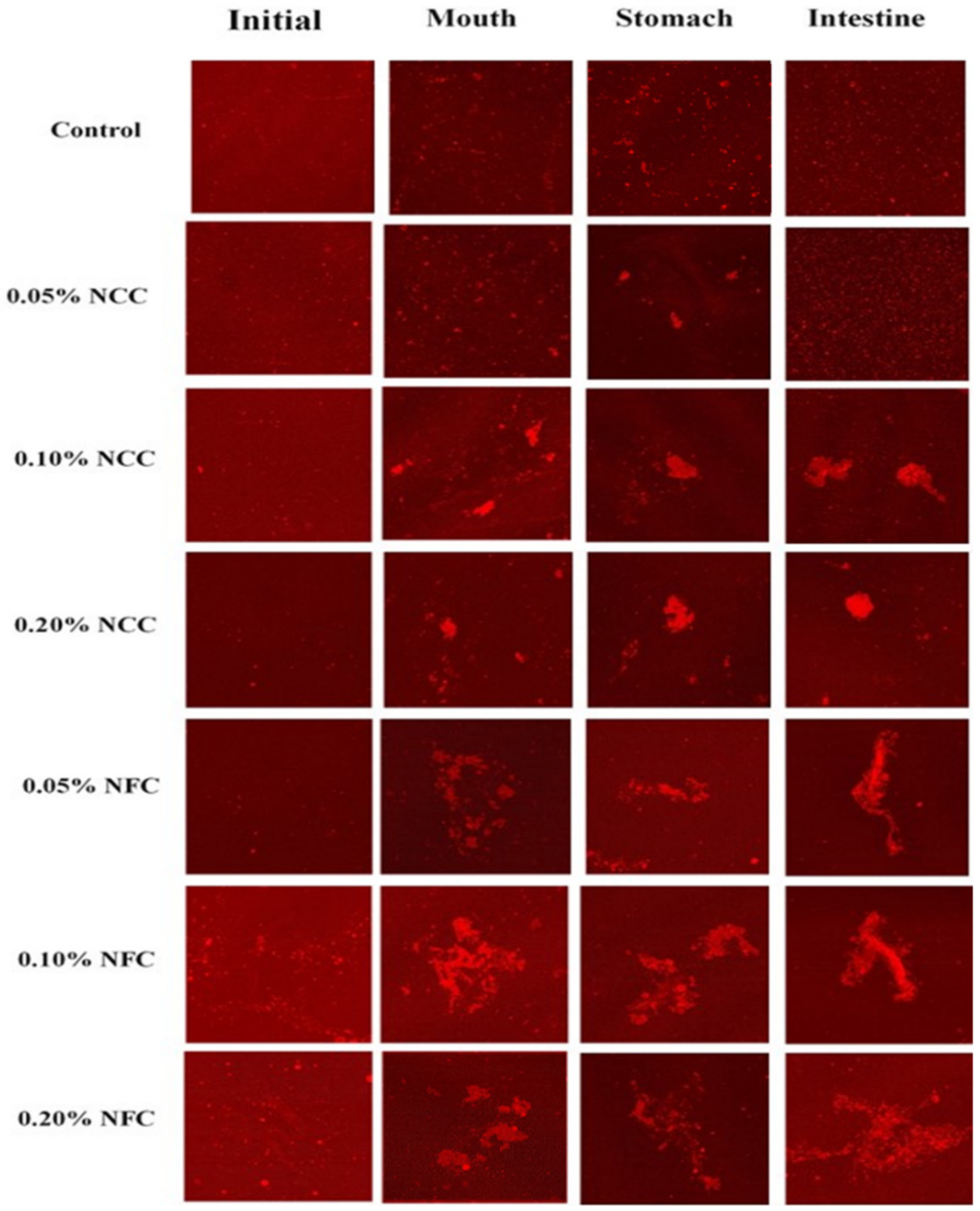 Polymers 14 01414 g006
