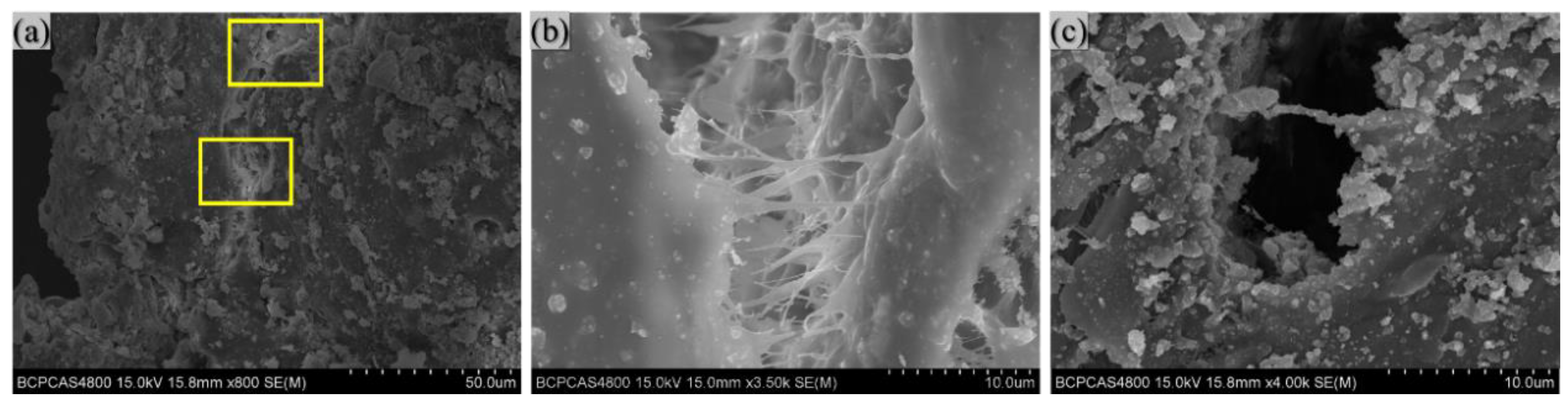 Polymers 14 01415 g012