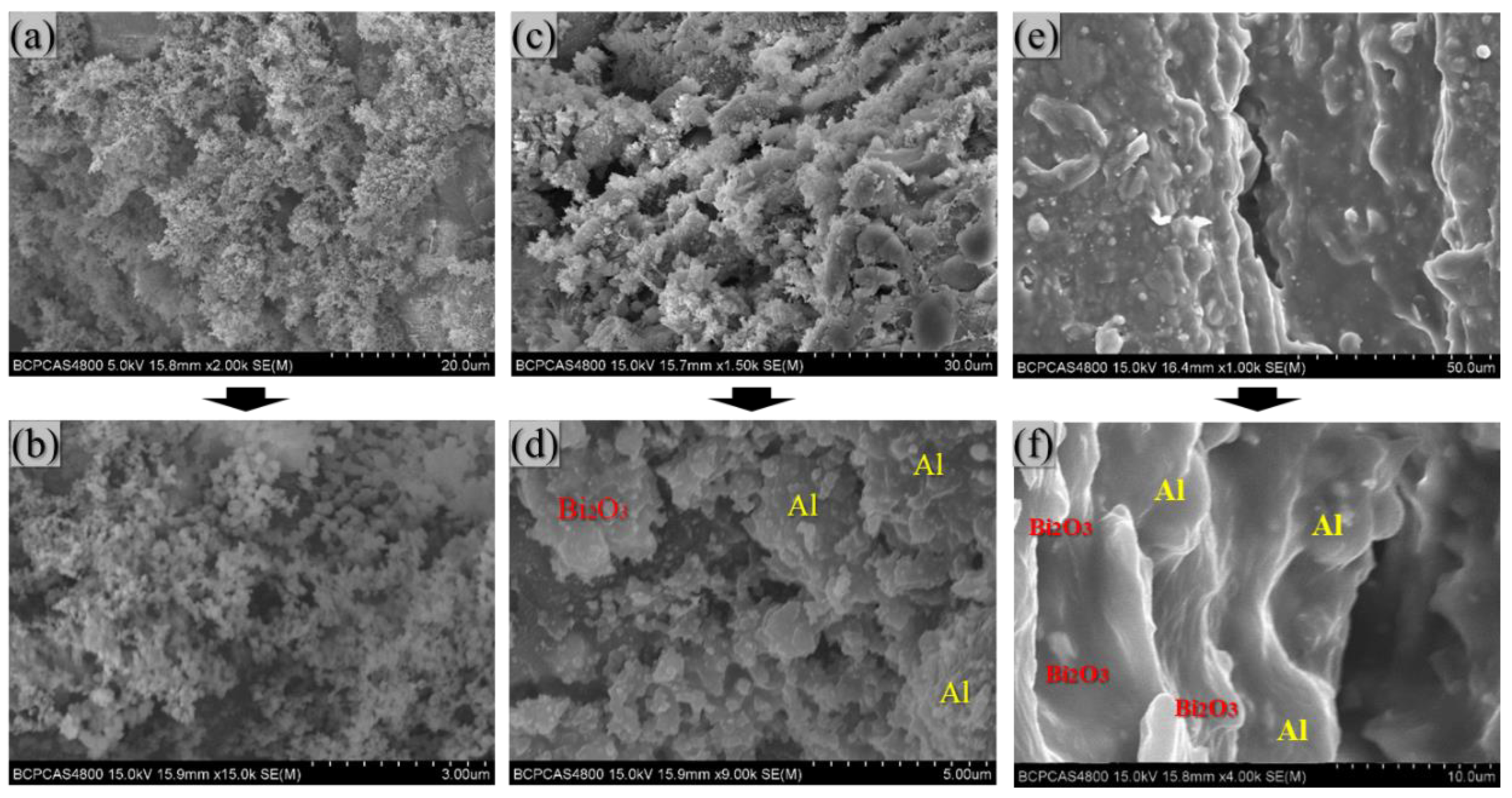 Polymers 14 01415 g014