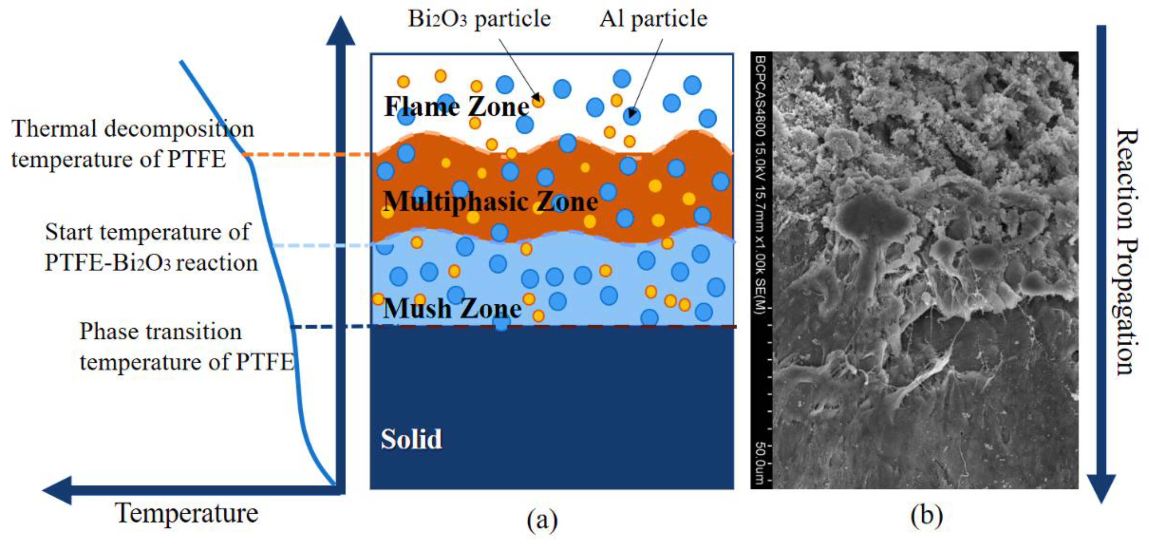 Polymers 14 01415 g016