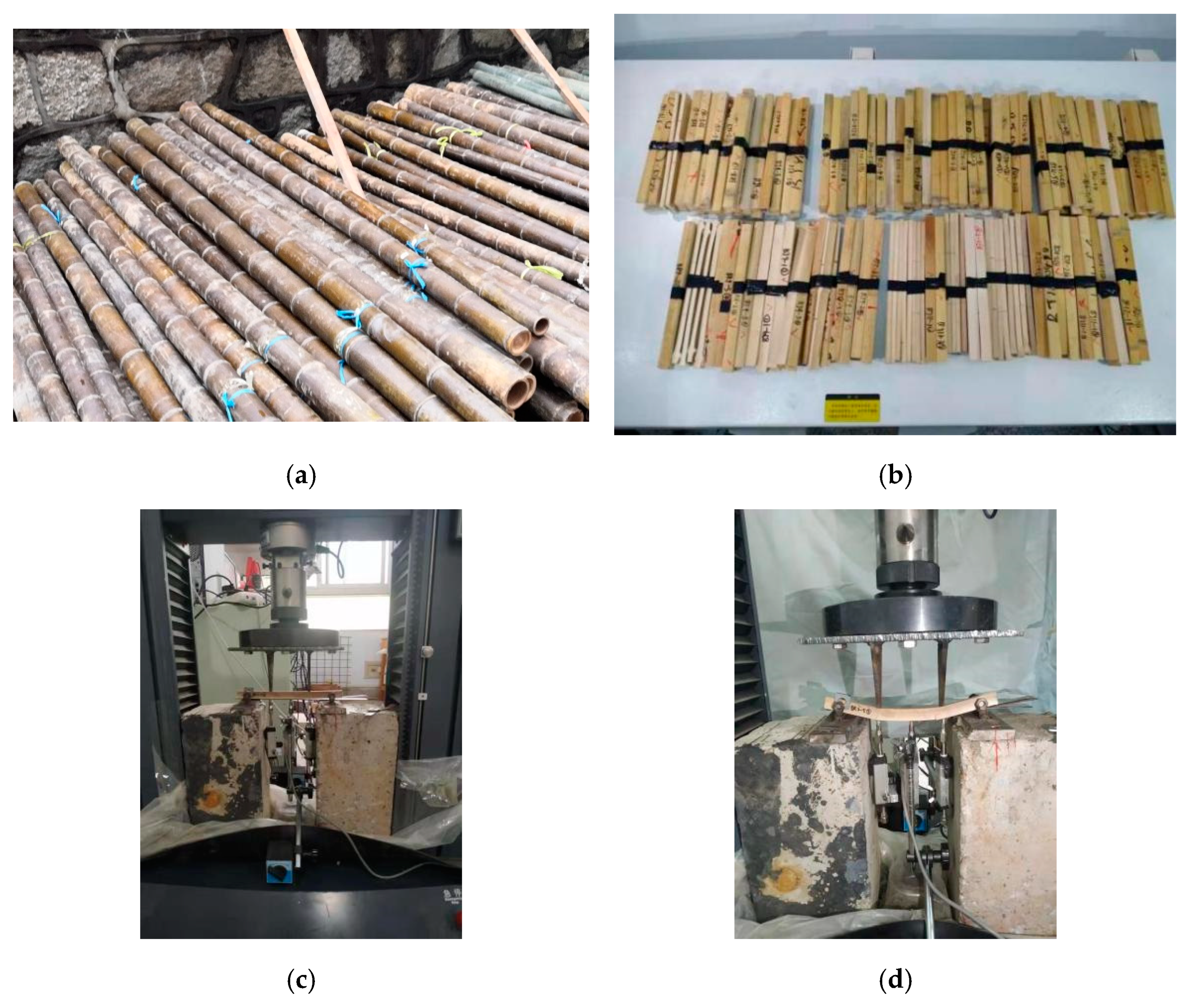 Polymers 14 01418 g001