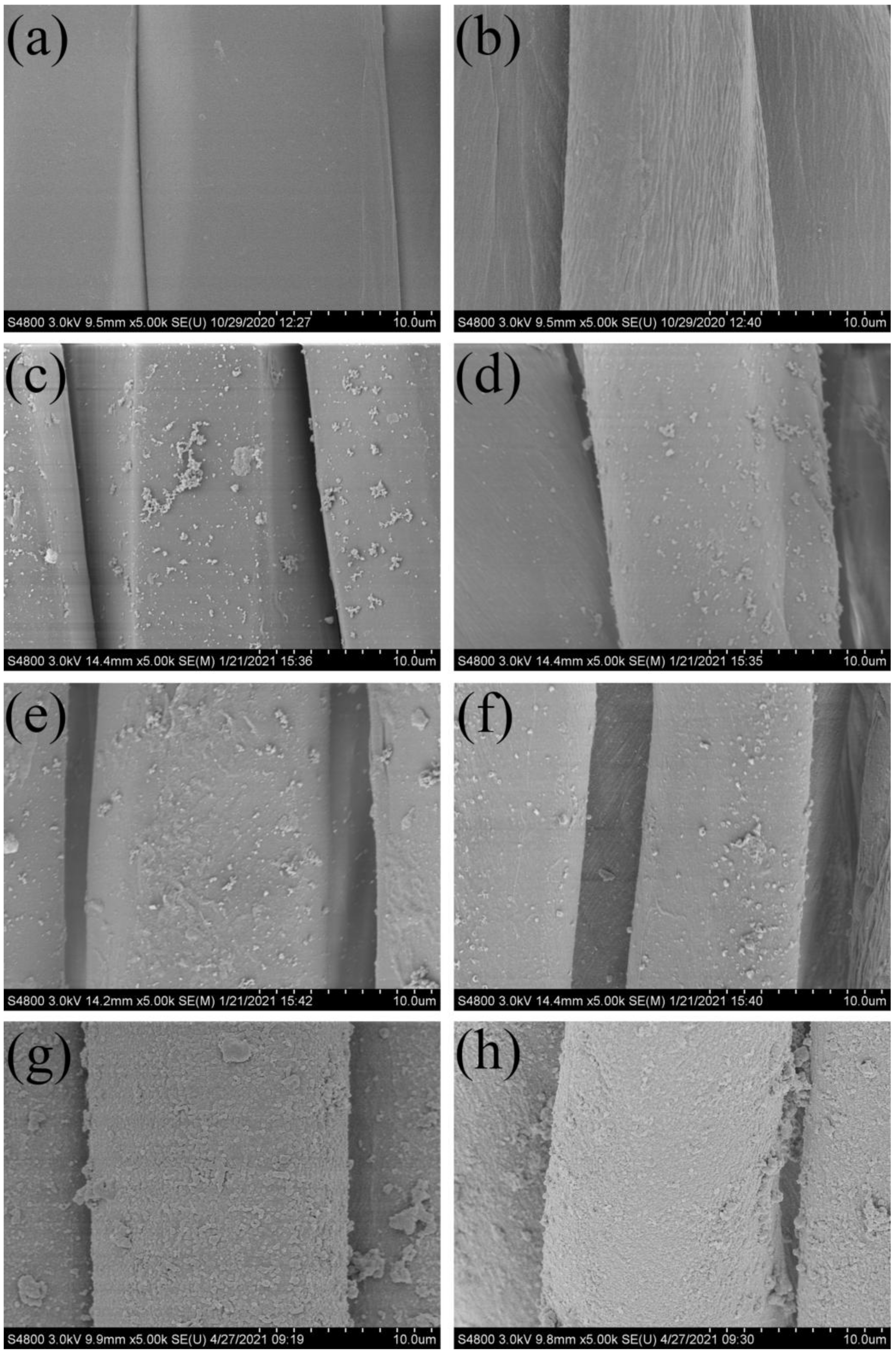 Polymers 14 01426 g002