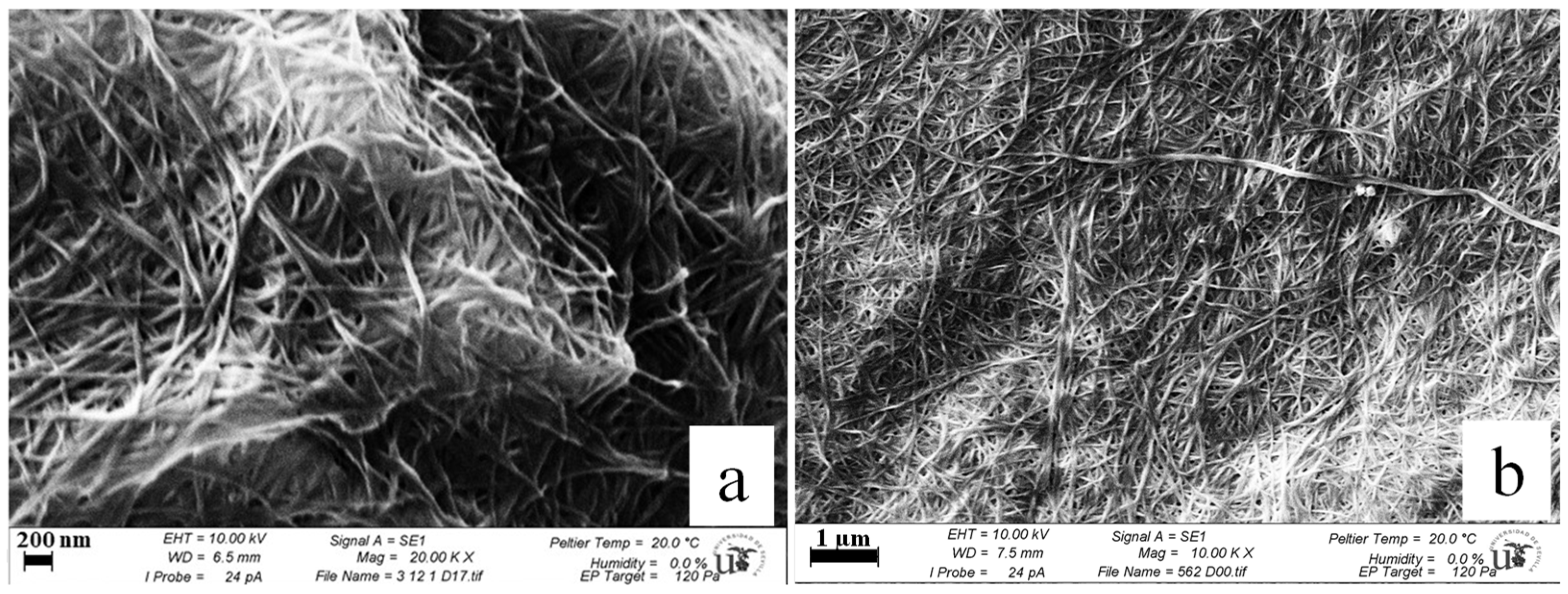 Polymers 14 01435 g005 550