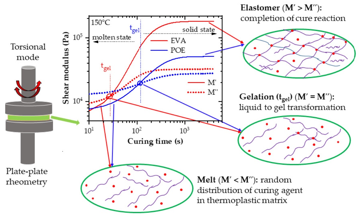 Polymers Free FullText Comparison of Crosslinking of UVTransparent EthyleneVinyl