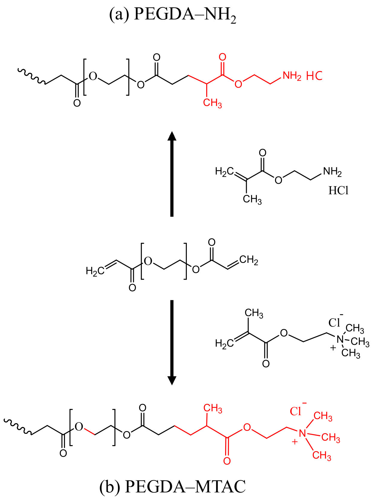 Polymers 14 01442 g001