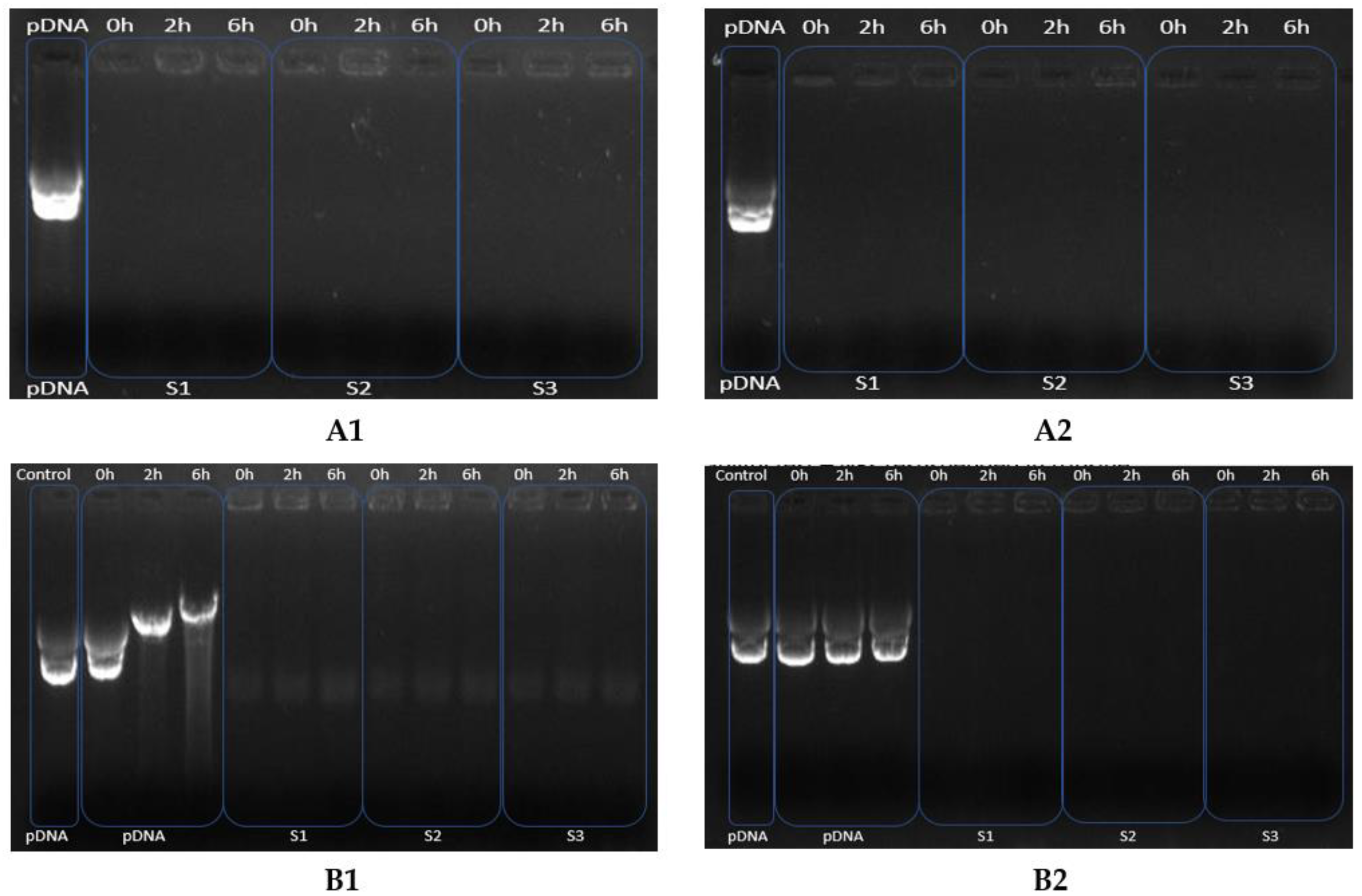 Polymers 14 01443 g004 550