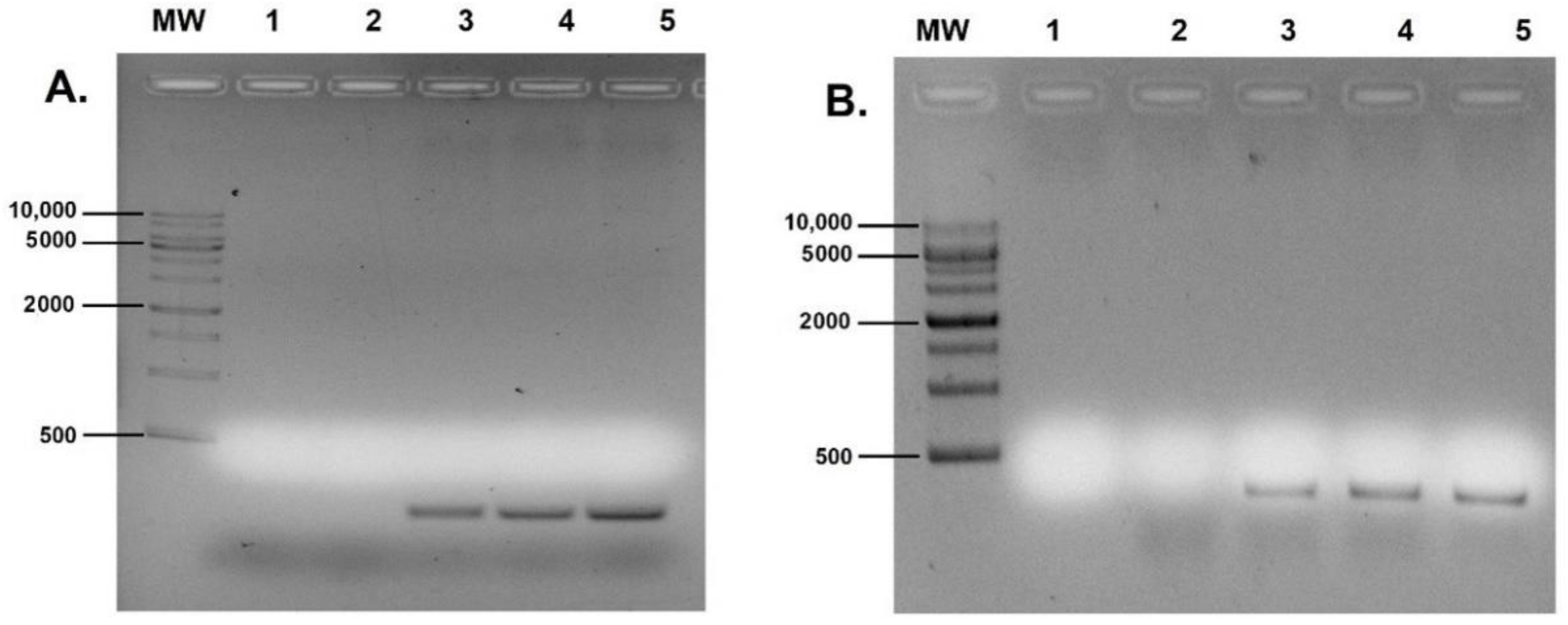 Polymers 14 01443 g005 550