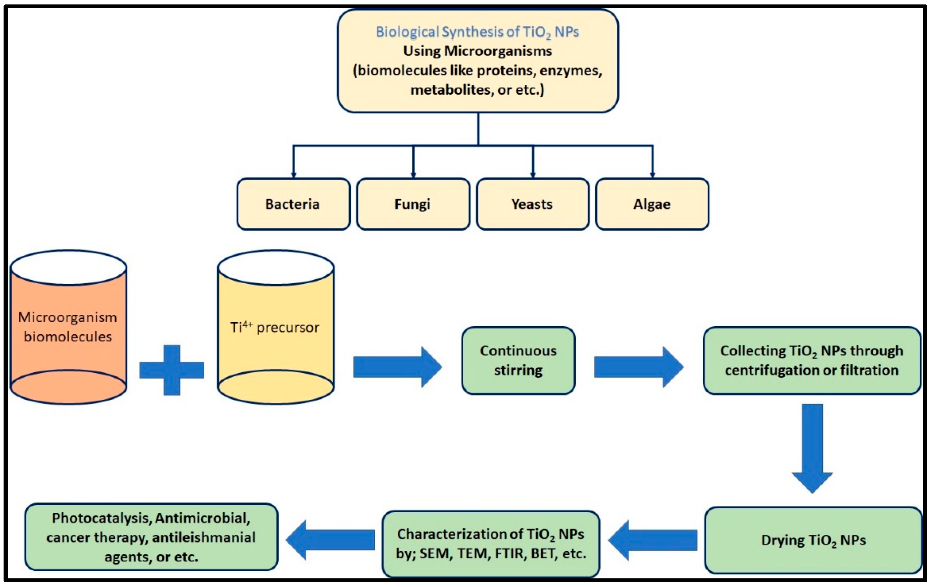 Polymers 14 01444 g005