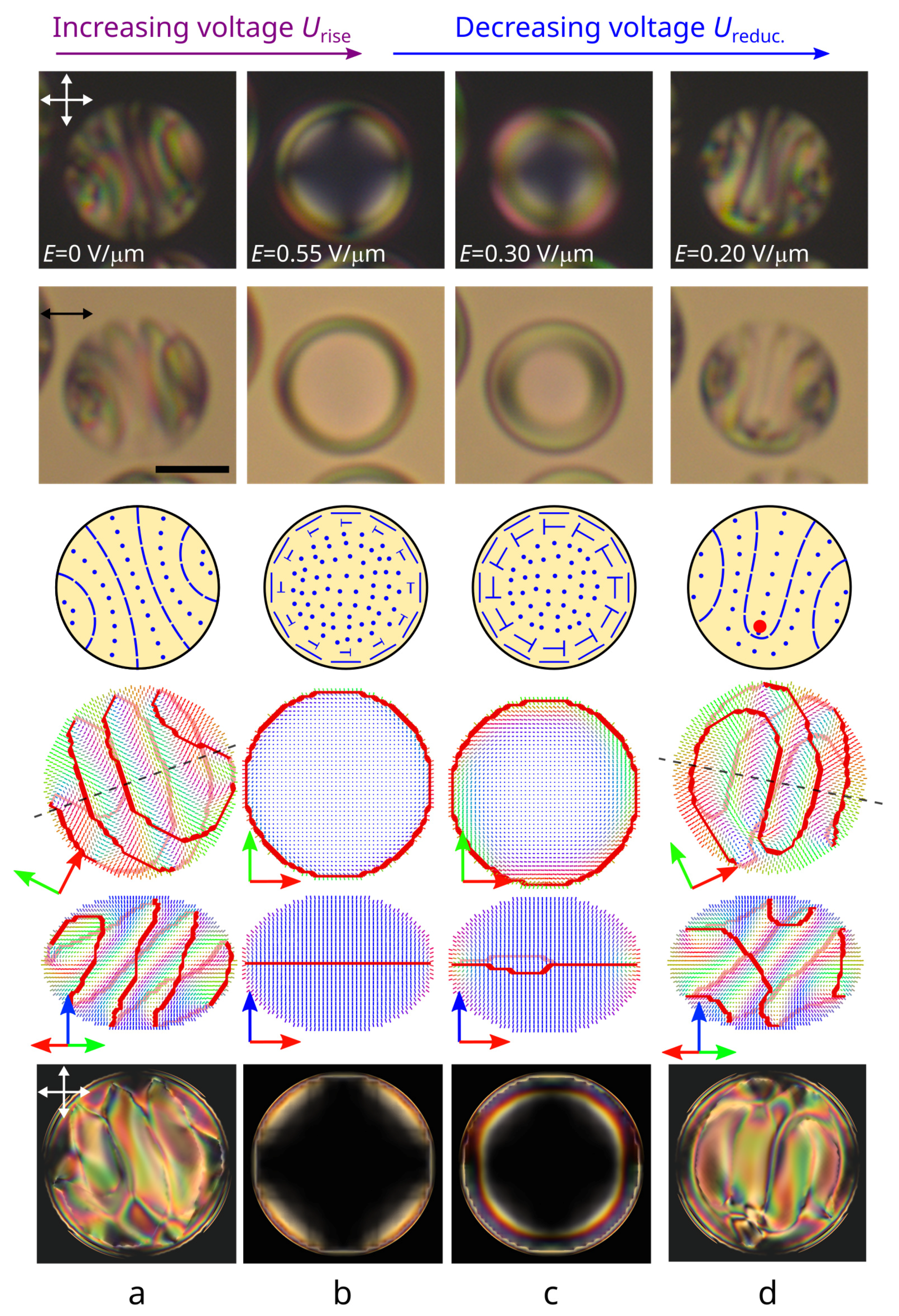 Polymers 14 01454 g002