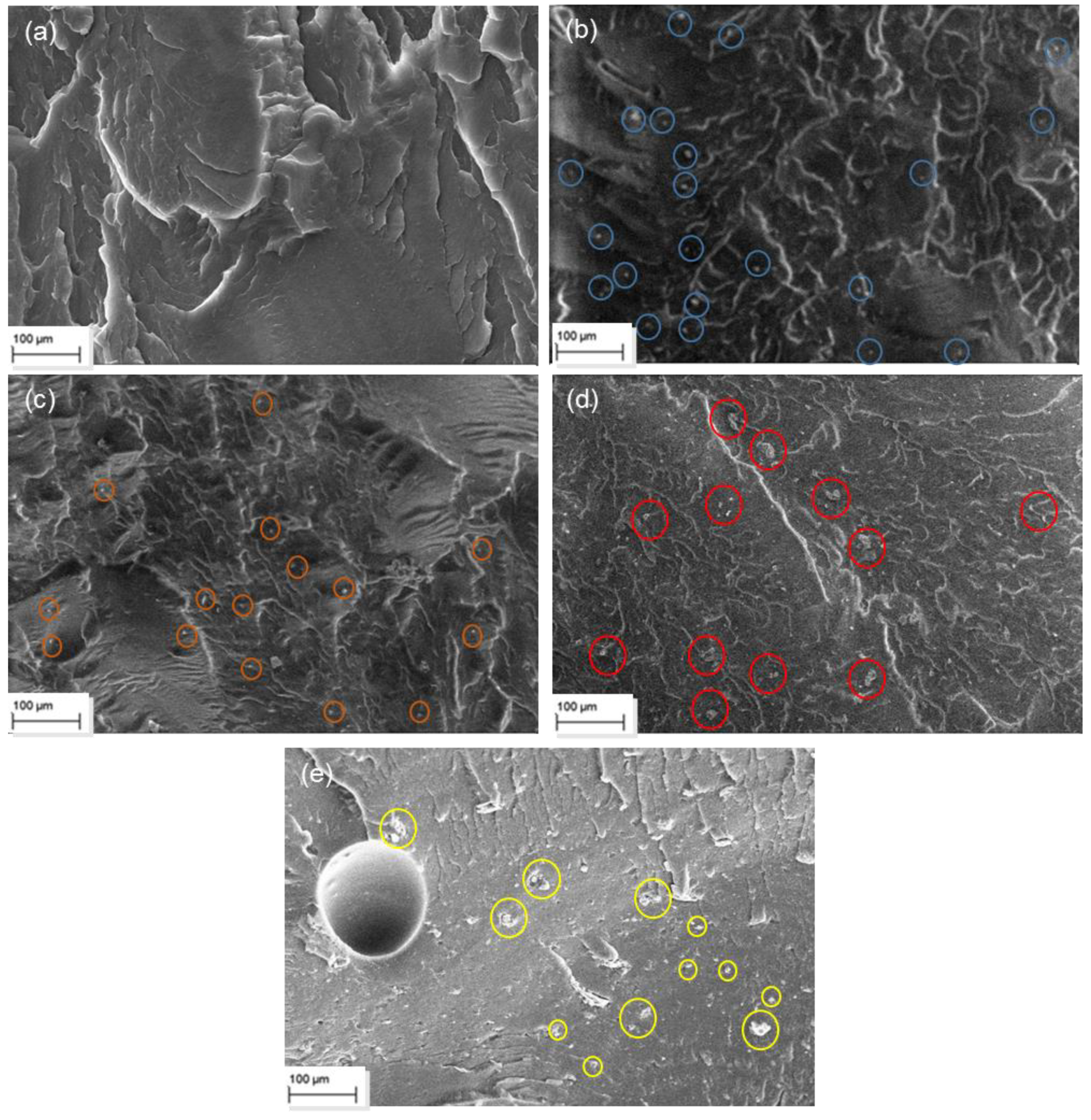 Polymers 14 01455 g003