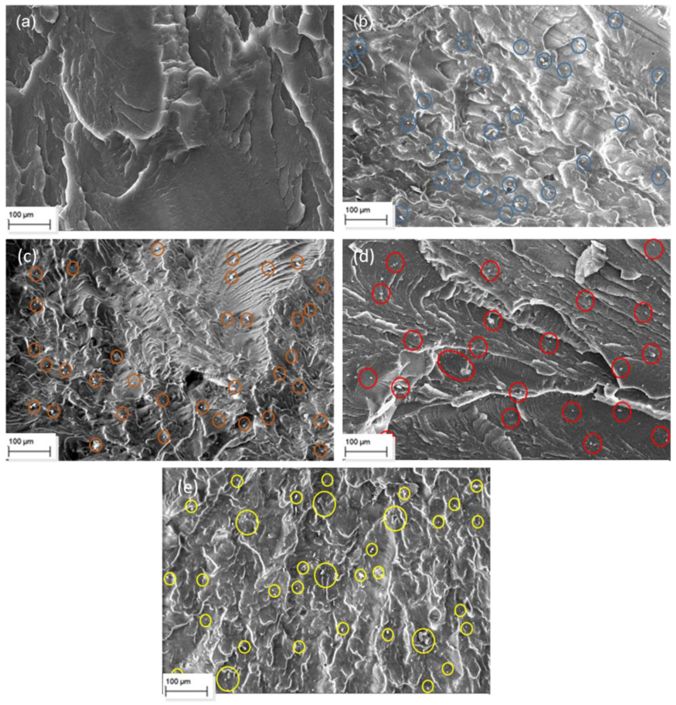 Polymers 14 01455 g004