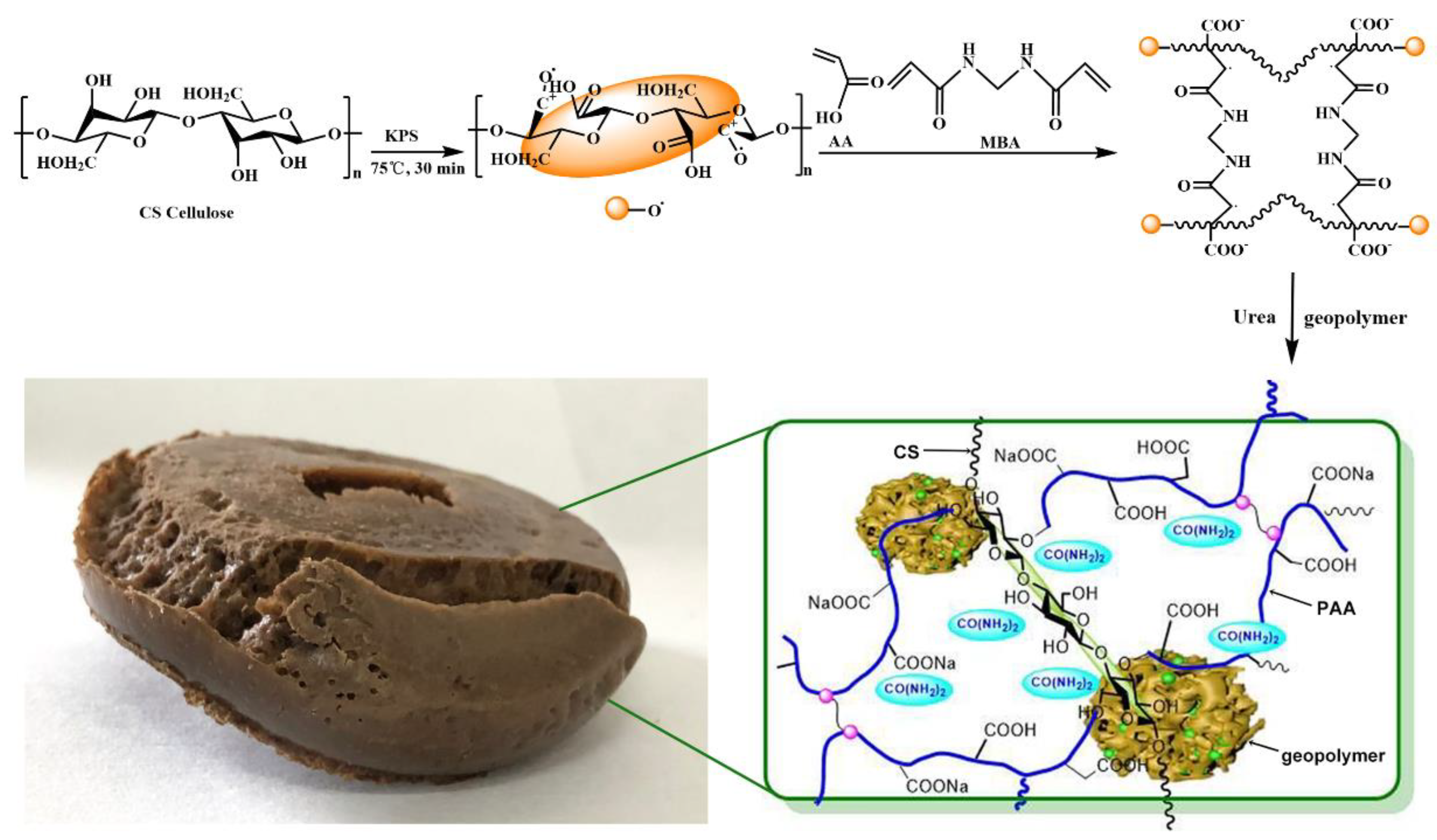 Polymers 14 01461 g002 550