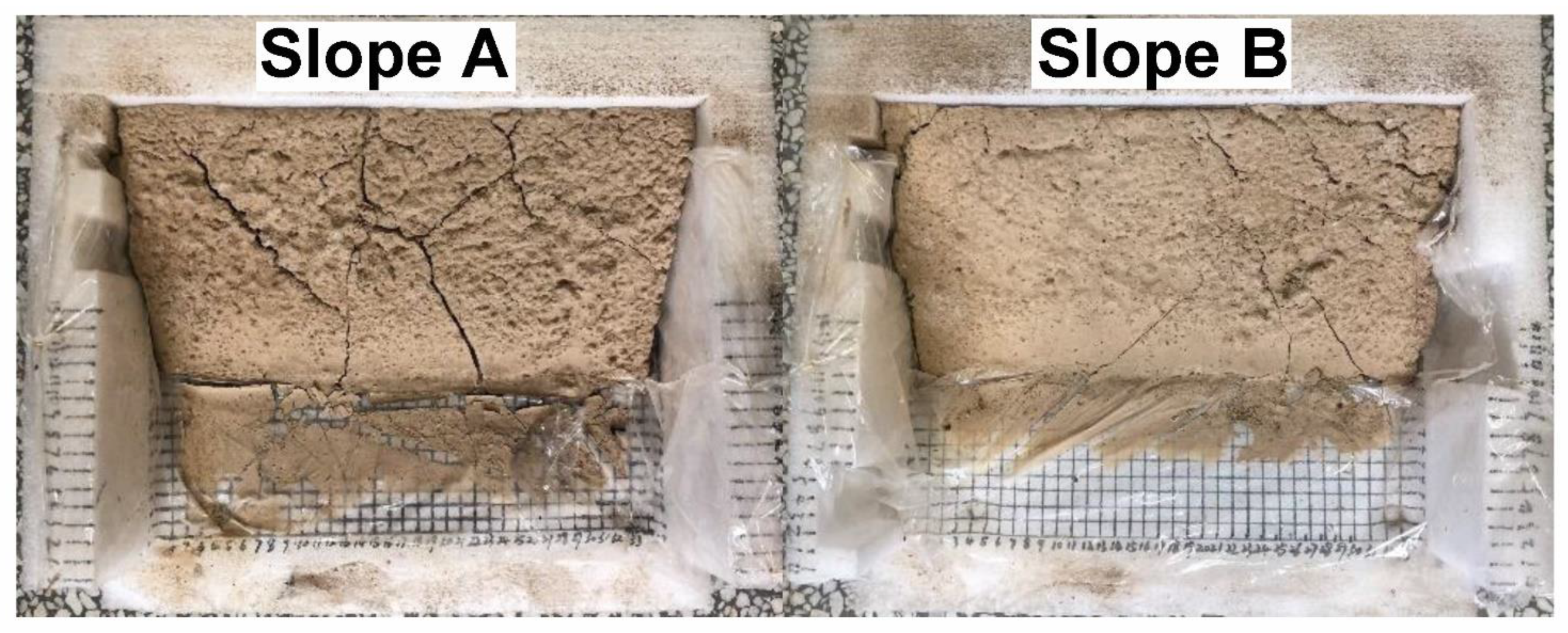 Polymers 14 01461 g008 550