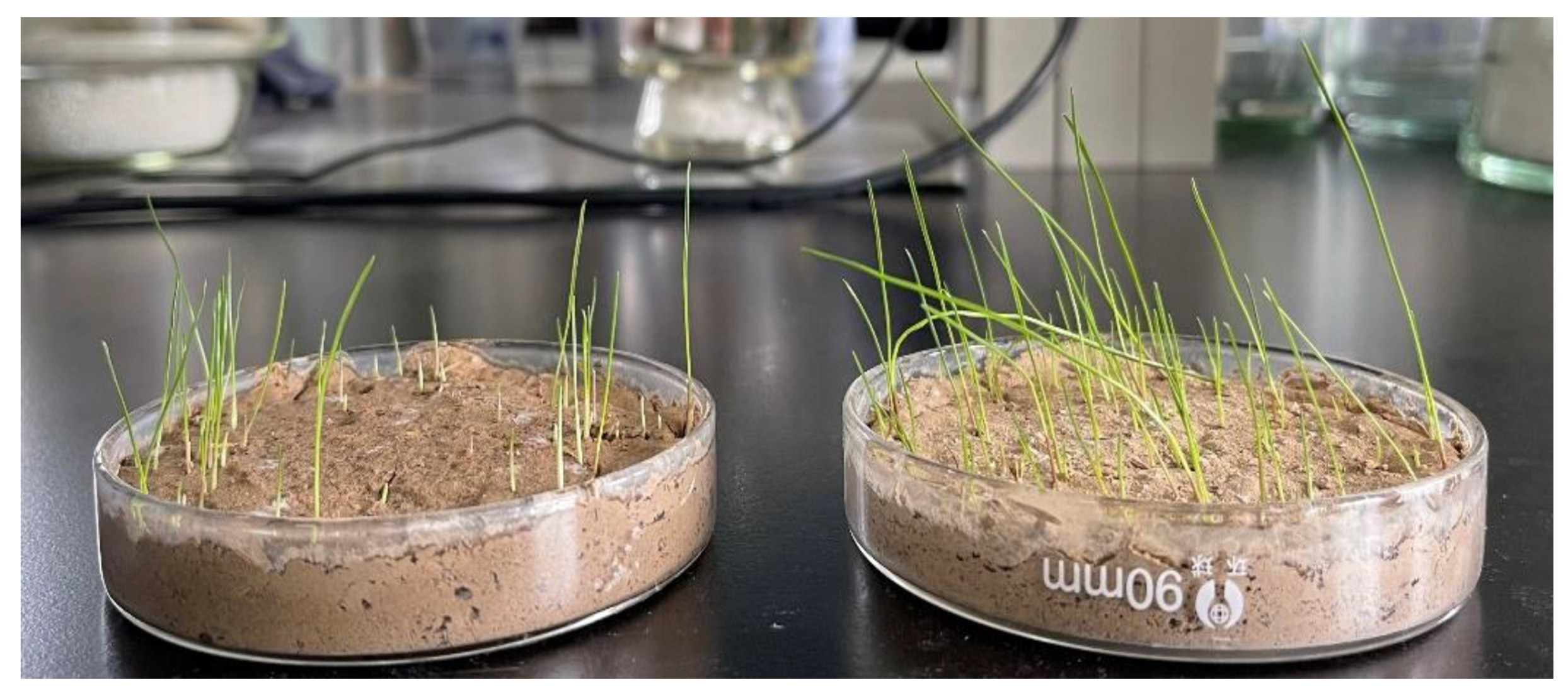 Polymers 14 01461 g012 550